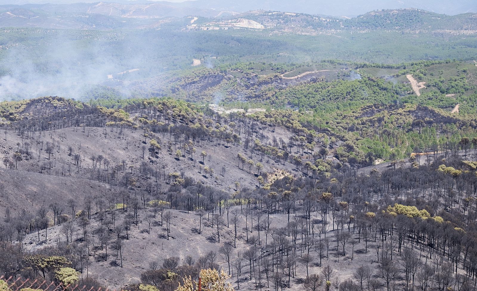 Aspecto tras el incendio forestal en Minas de Riotinto en Huelva