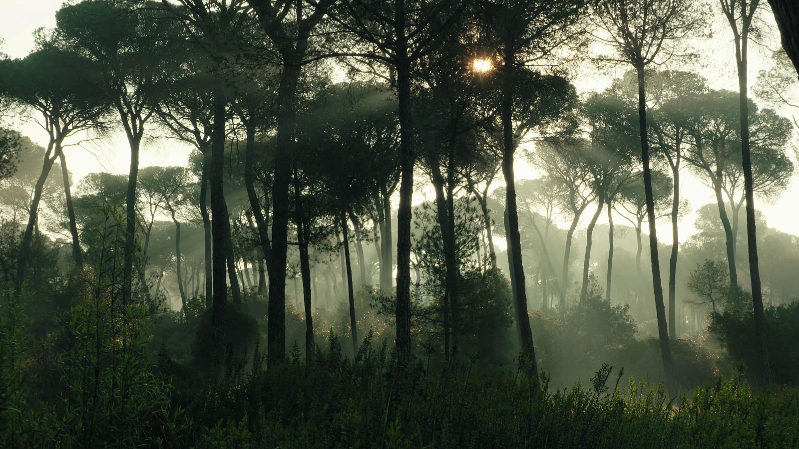 'El jardín de los dioses' muestra un ecosistema único que vive entre la leyenda de los dioses mitológicos y la realidad