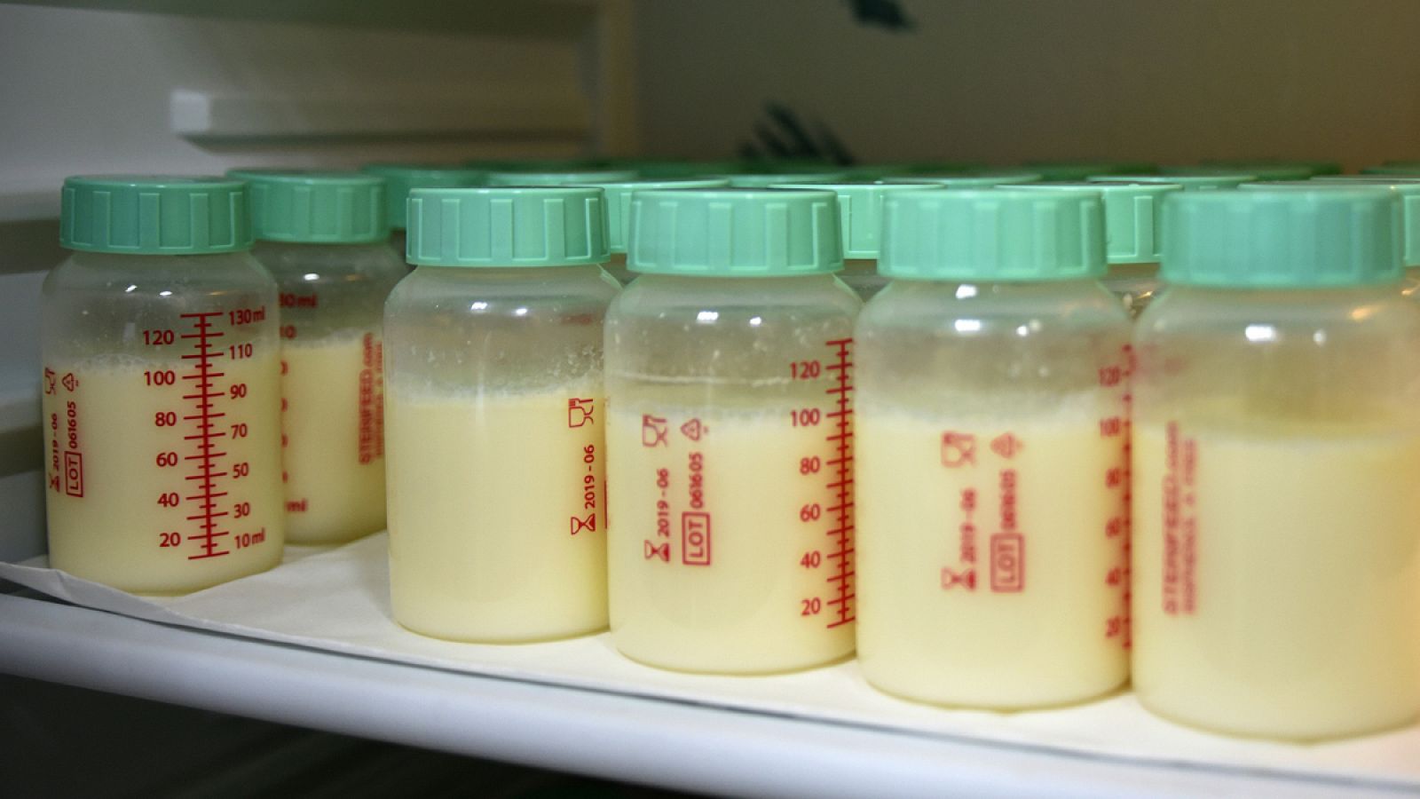 Imagen de un lote de frascos de leche materna del Banco de Tejidos de Palma de Mallorca.