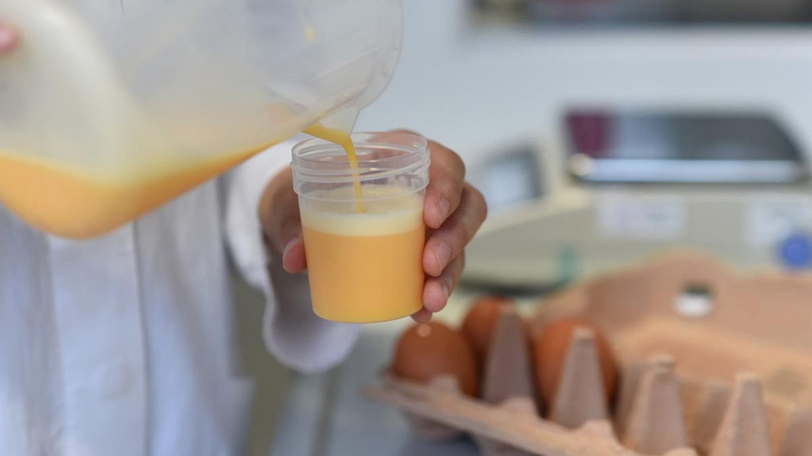 Un laboratorio de Baviera, en Alemania, analiza huevos en busca de restos de fipronil.