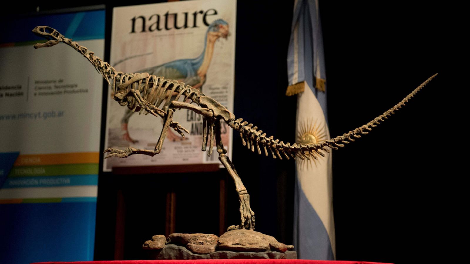 Foto de archivo de una réplica de un esqueleto de un Chilesaurus