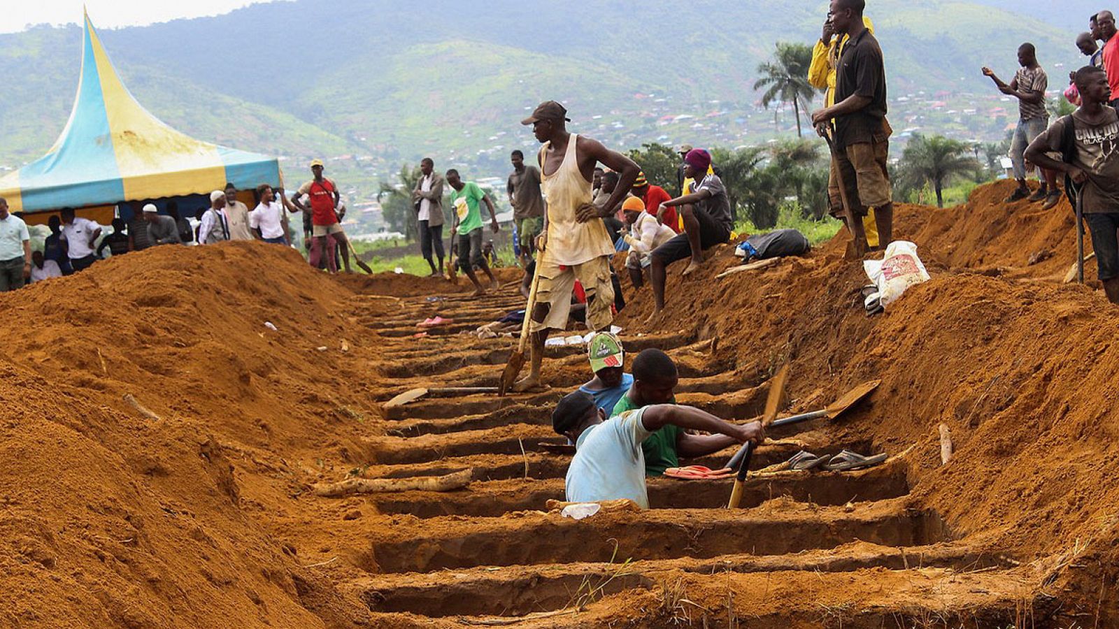 Varios operarios caban fosas comunes para víctimas mortales de inundaciones y corrimientos de tierra en Waterloo (Sierra Leona)