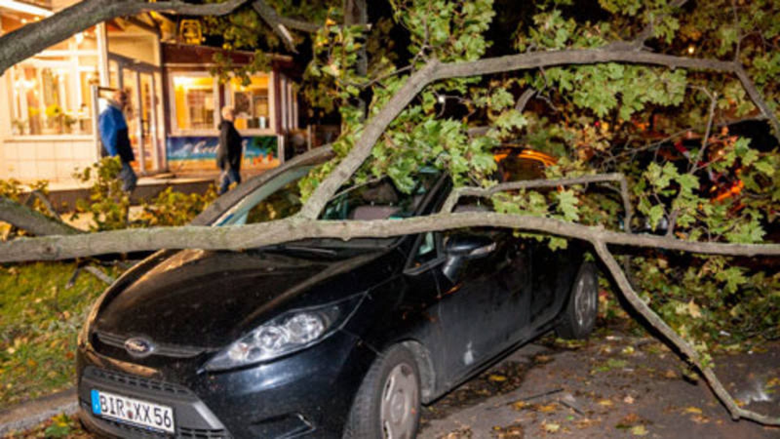 Un árbol caído sobre un coche aparcado en las calles de Berlín