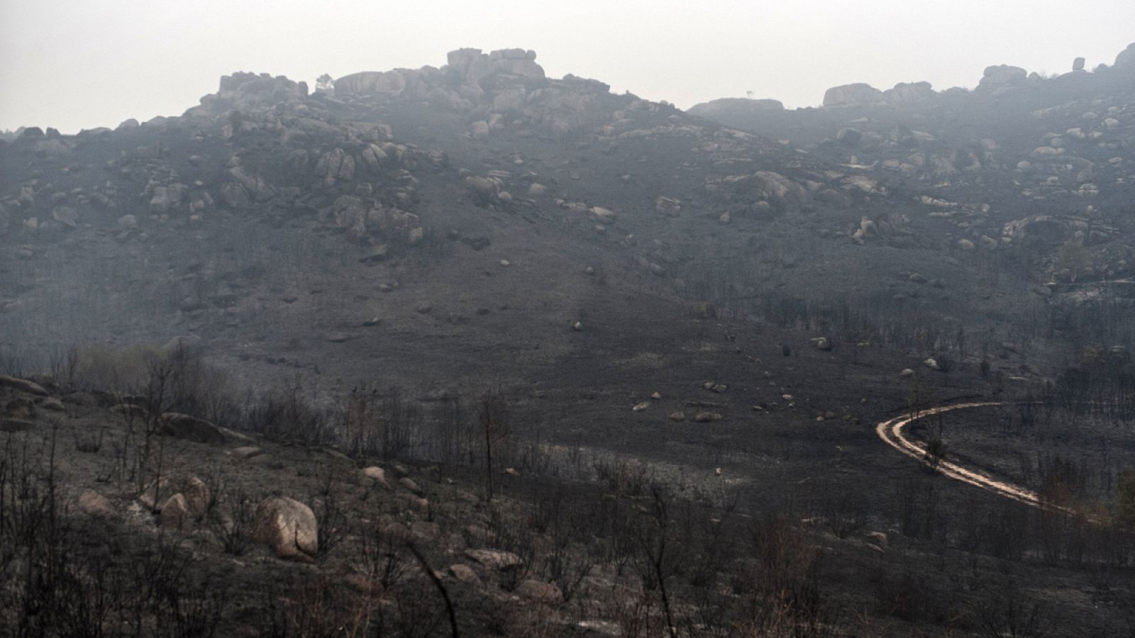 Los primeros indicios apuntan a la intencionalidad de la mayoría de los incendios en Galicia