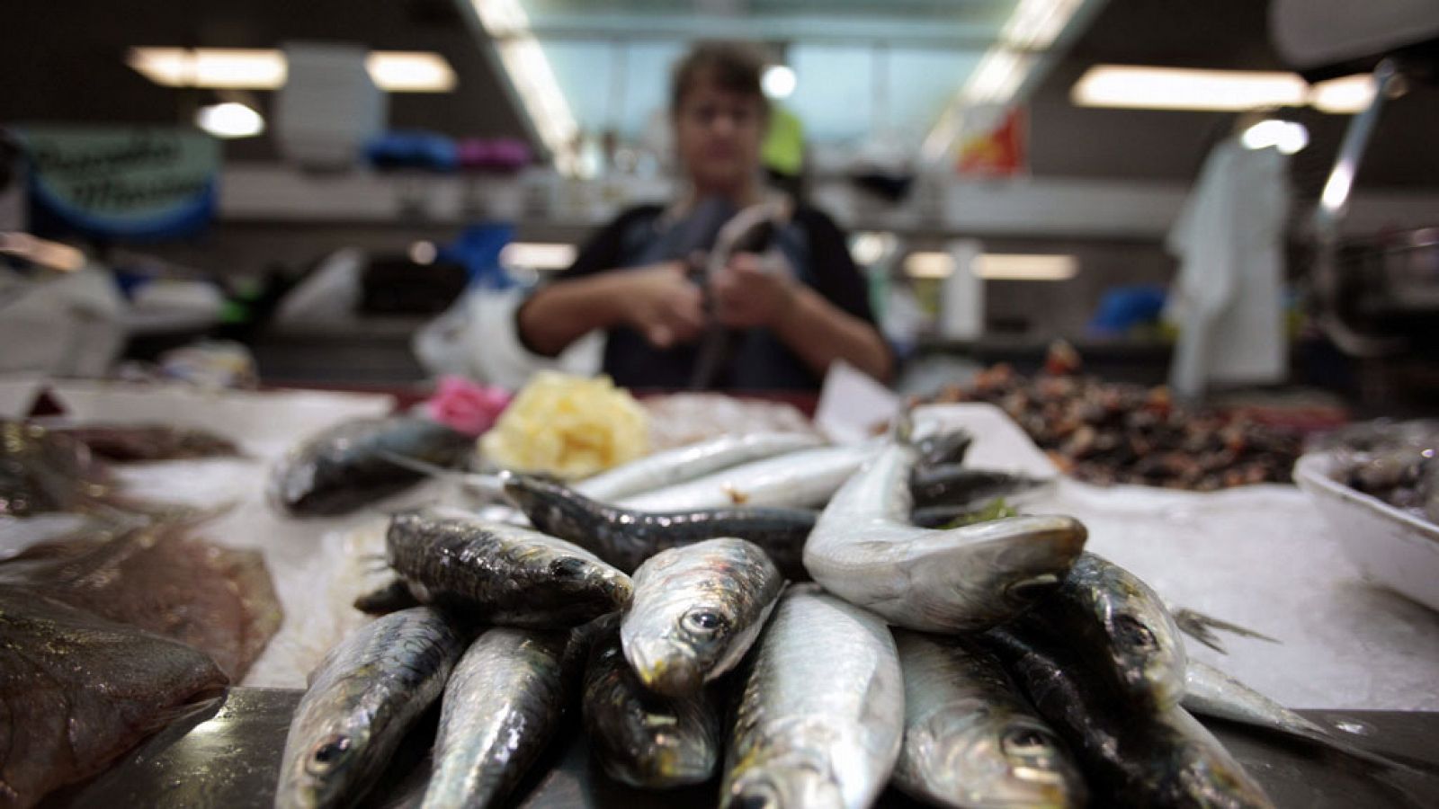 Imagen de archivo de sardinas en un puesto de un mercado