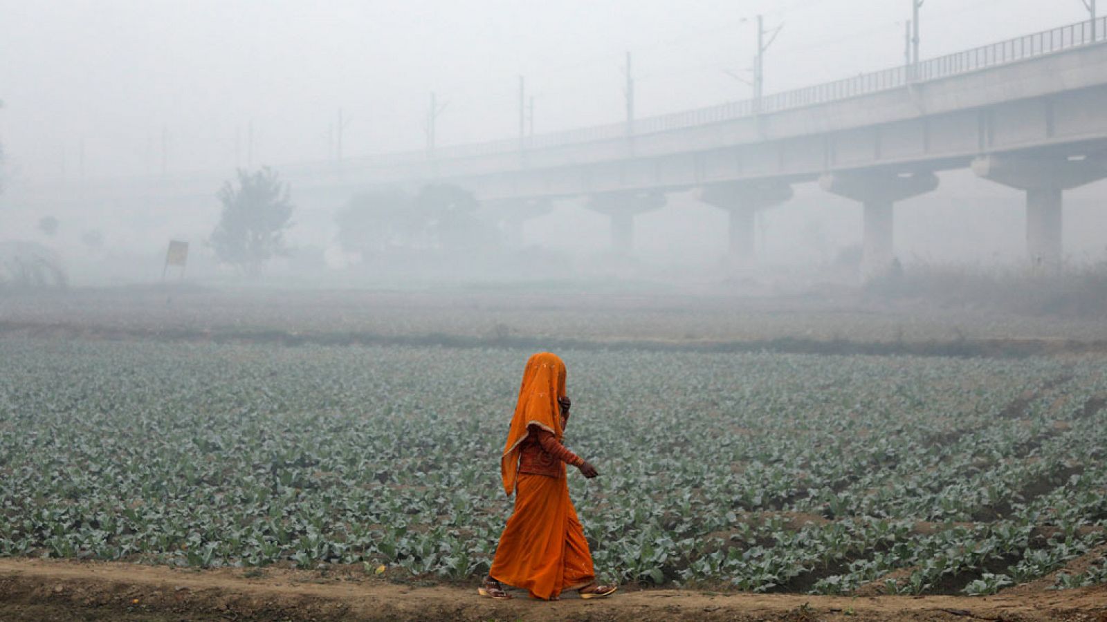 Nueva Delhi, en la India, sufre desde hace días un episodio de alta contaminación