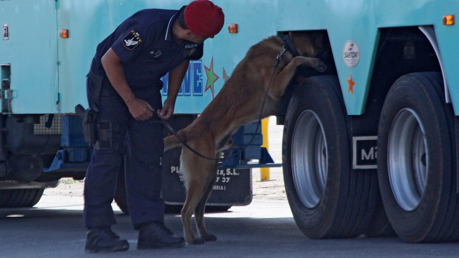 Un perro policía inspecciona un vehículo en Ceuta (Archivo)