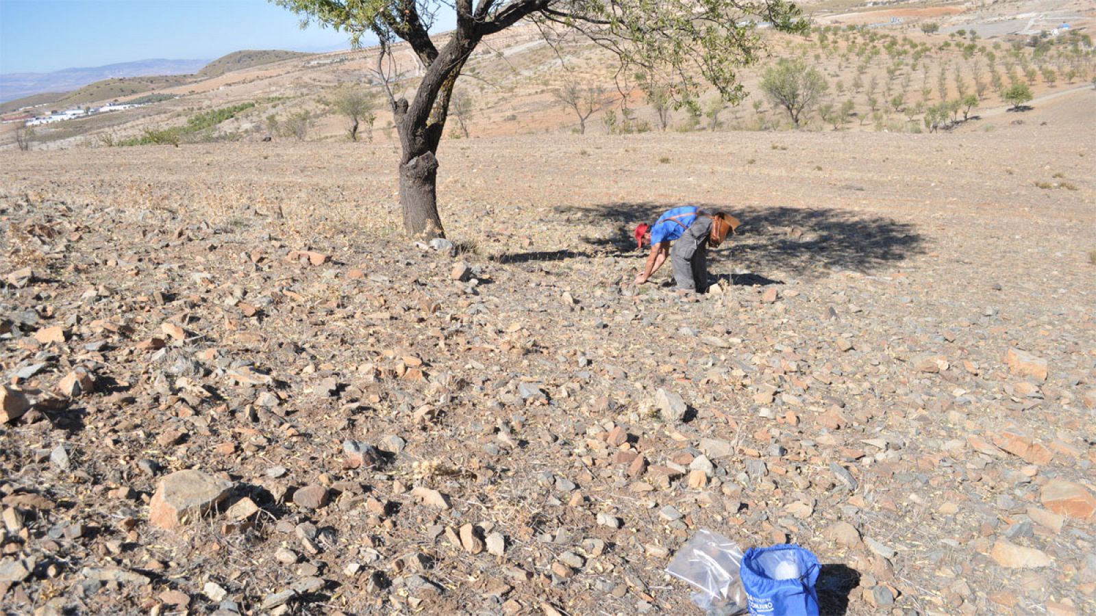 Un geólogo recogiendo muestras en la cantera de la Rambla del Agua en Granada