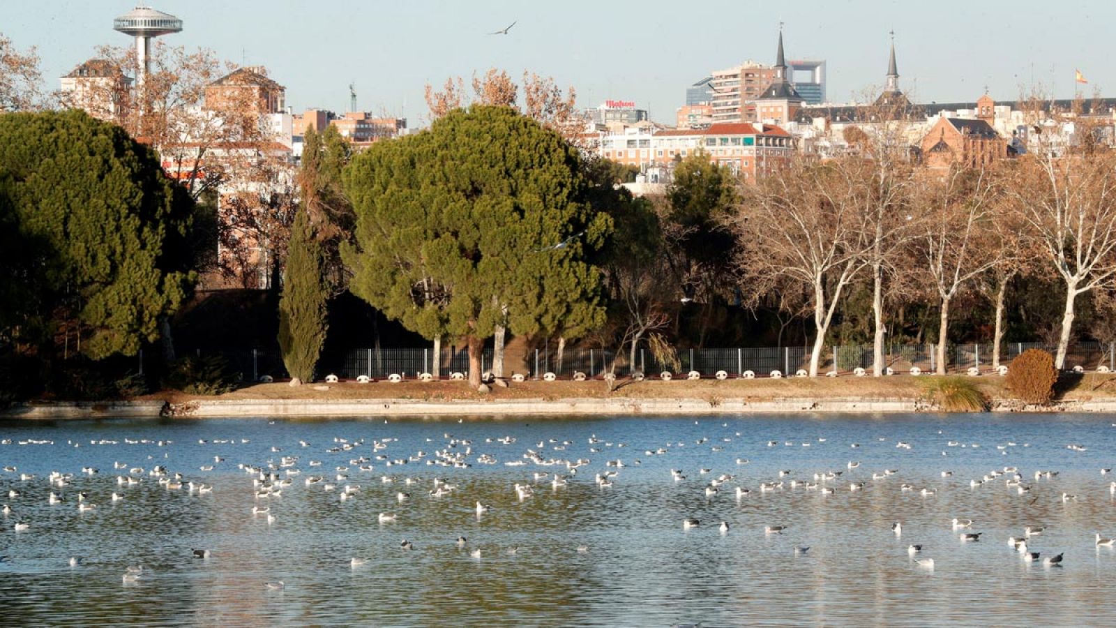 El lago de la Casa de Campo tiene más de ocho hectáreas de extensión y permanecerá en dique seco ocho meses.