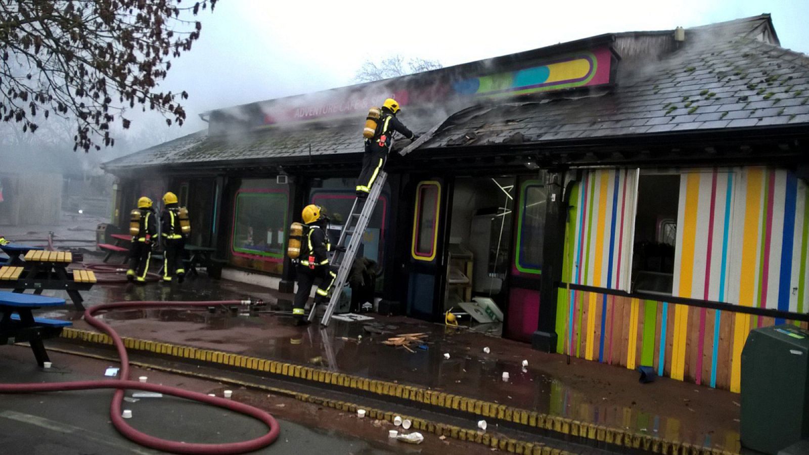 Los bomberos trabajan en la extinción del fuego en el zoo de Londres