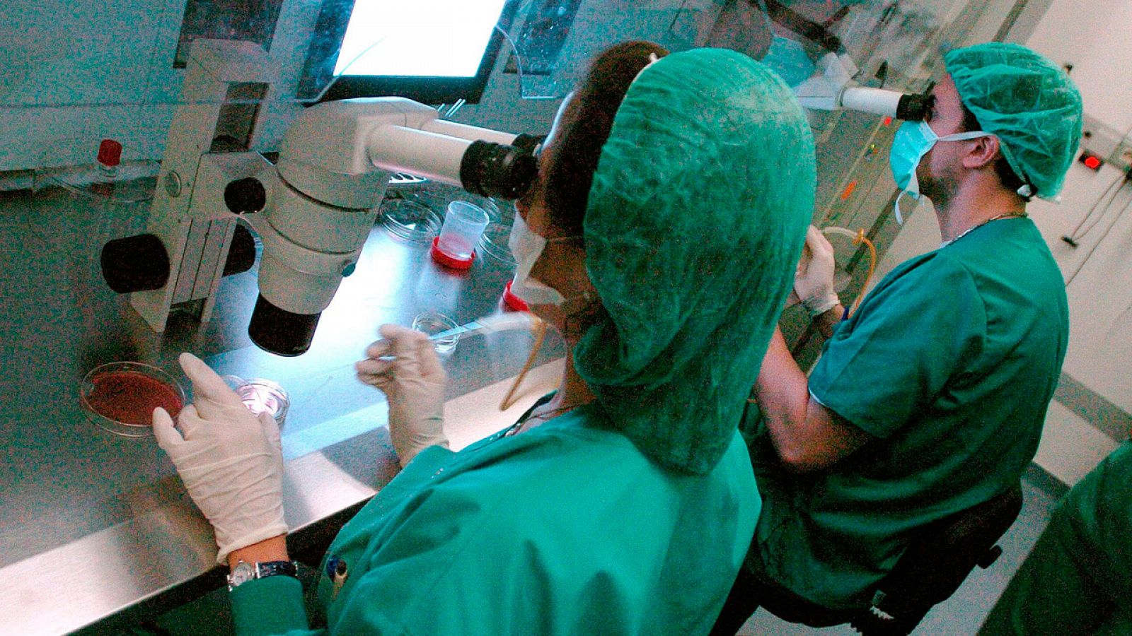Biólogos del Instituto Valenciano de Infertilidad (IVI)) trabajan en el laboratorio FIS.