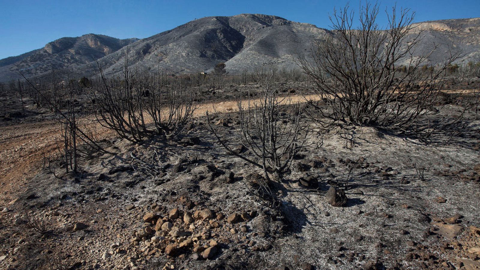 Imagen de una zona afectada por el incendio declarado el viernes 29 de diciembre de 2017 en el término municipal de Culla, en el interior de la provincia de Castellón.