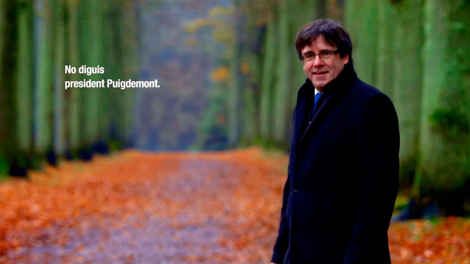 Carles Puigdemont pasea por un bosque belga en un vídeo de la campaña electoral del 21-D