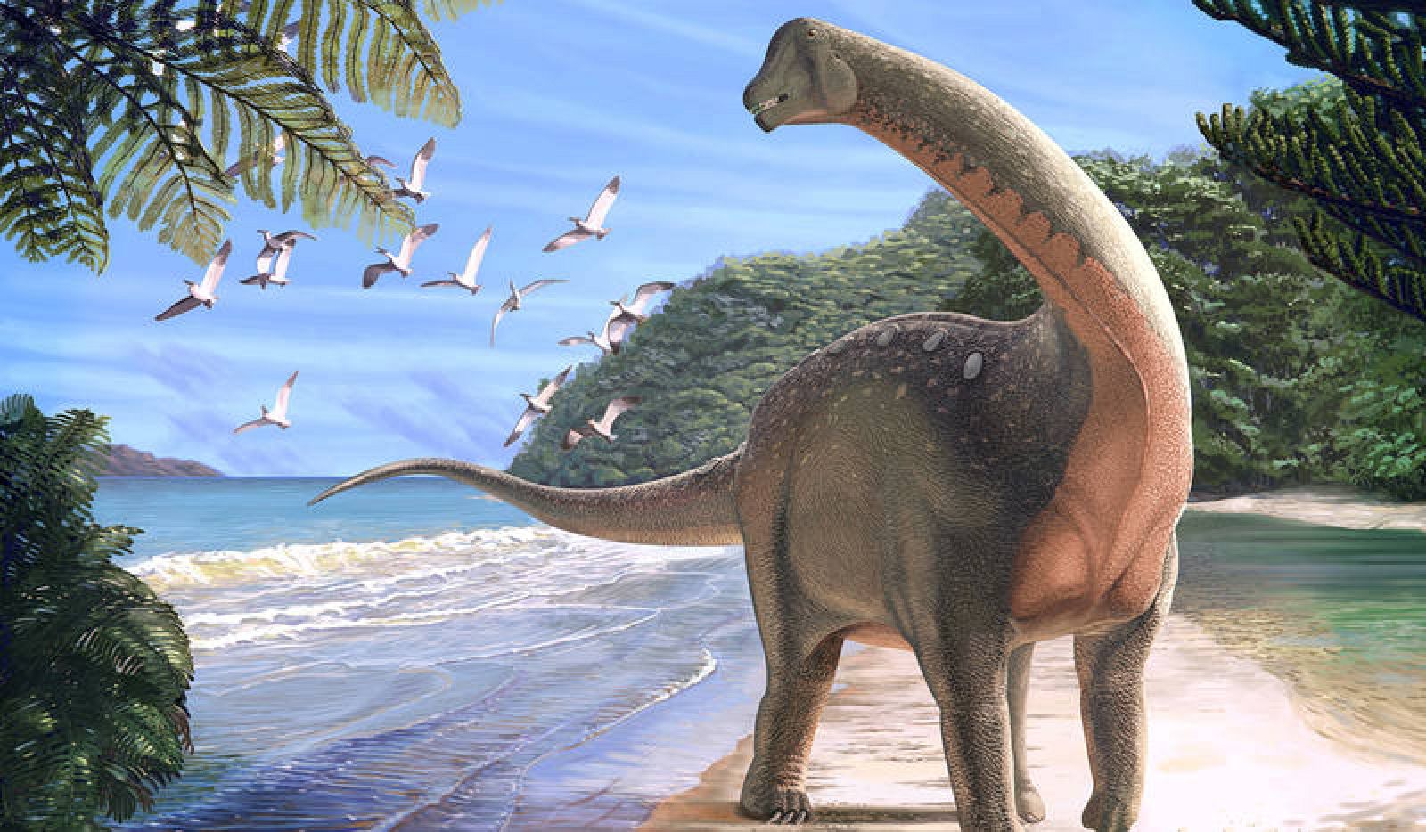 El Mansourasaurus shahinae es uno de los pocos dinosaurios del Cretácico hallados en África.