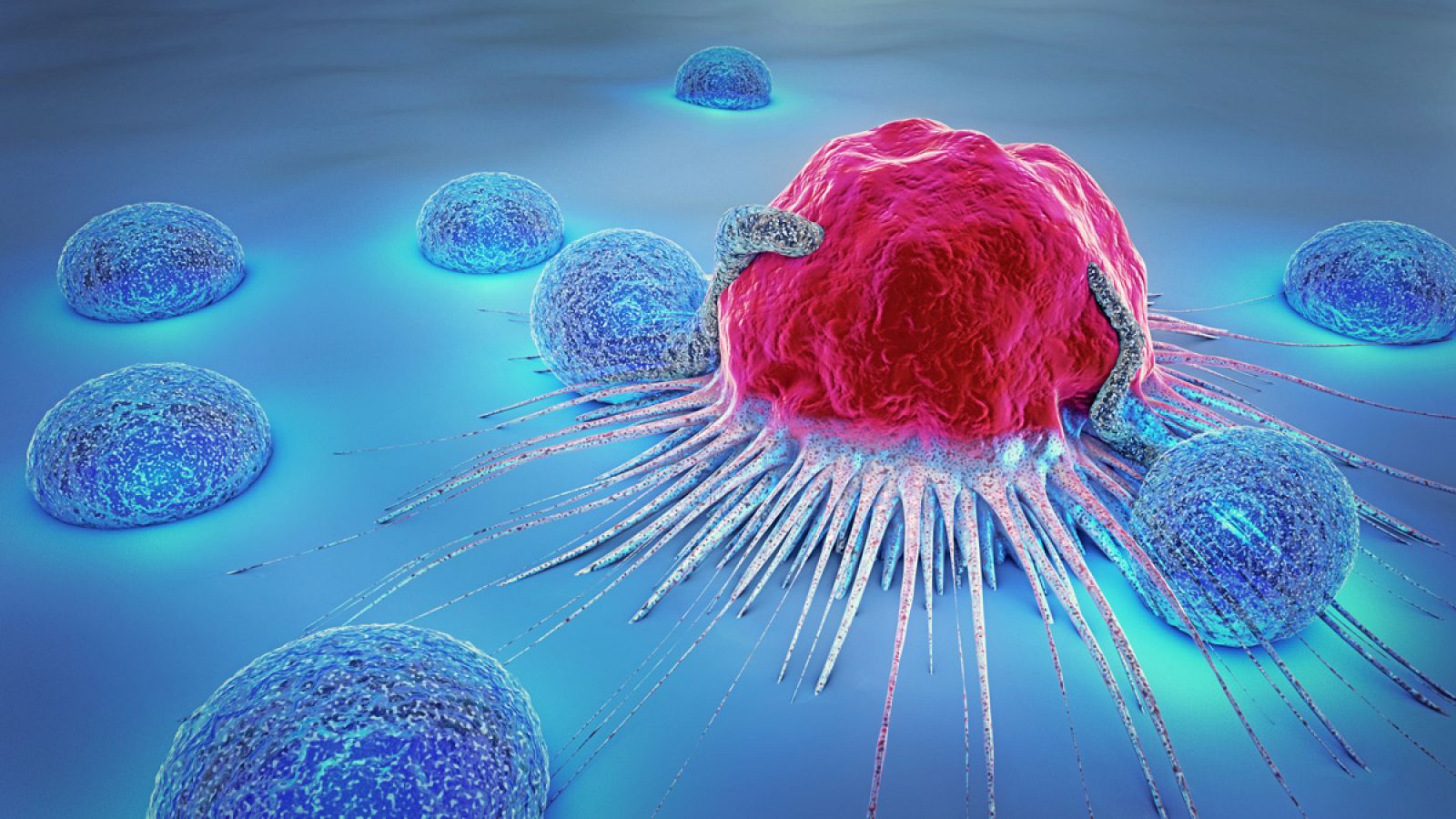 Ilustración 3D de una célula cancerosa y de linfocitos