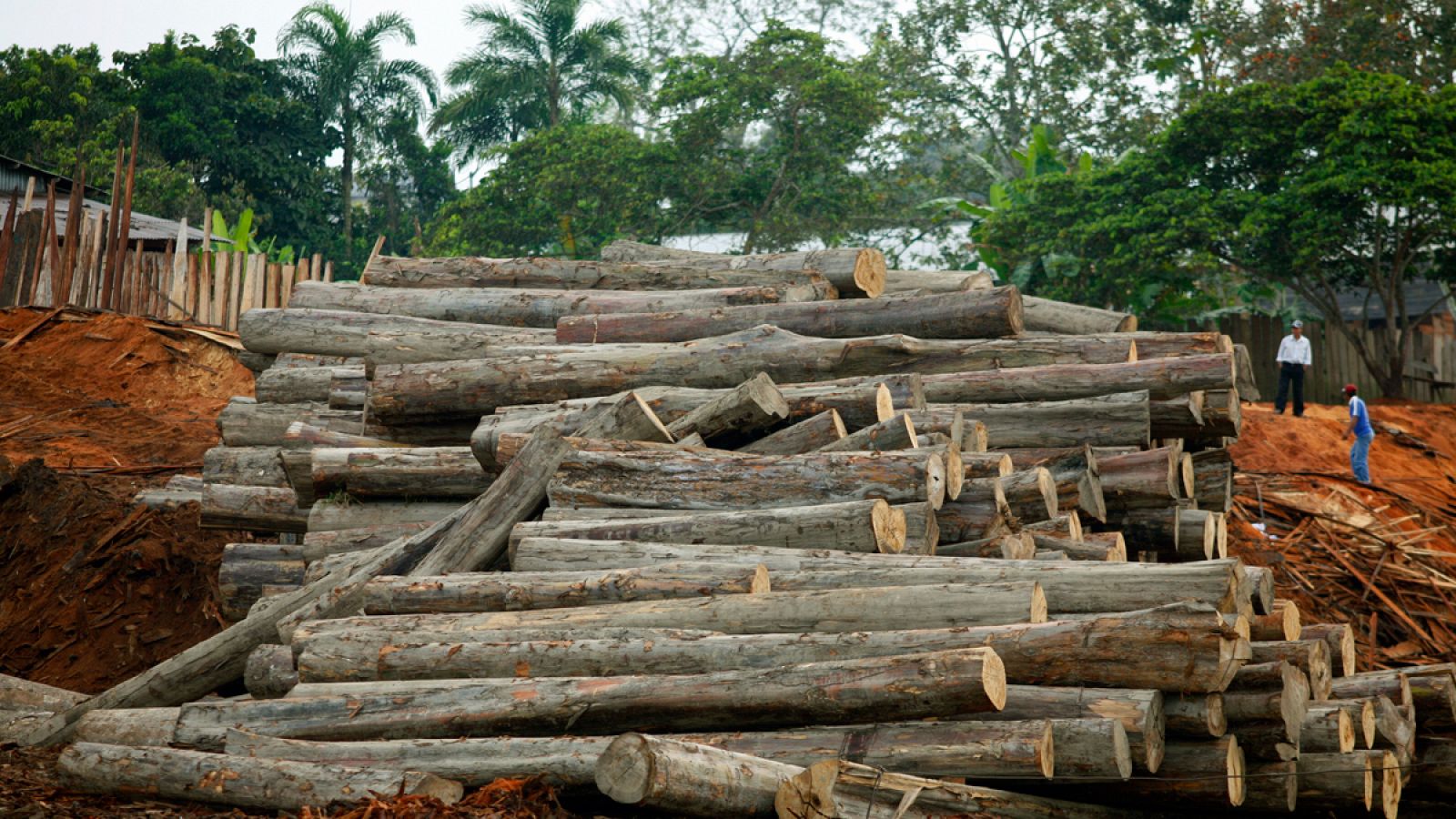El Amazonas podría alcanzar pronto su límite de deforestación que sobrepasaría su capacidad regenerativa.