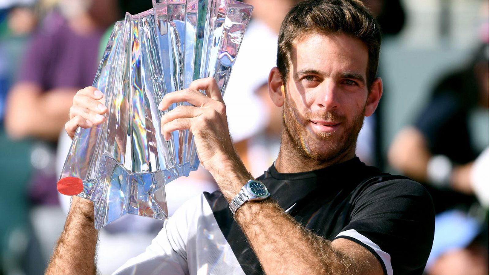 Del Potro derrota a Federer y se proclama campeón en Indian Wells por primera vez