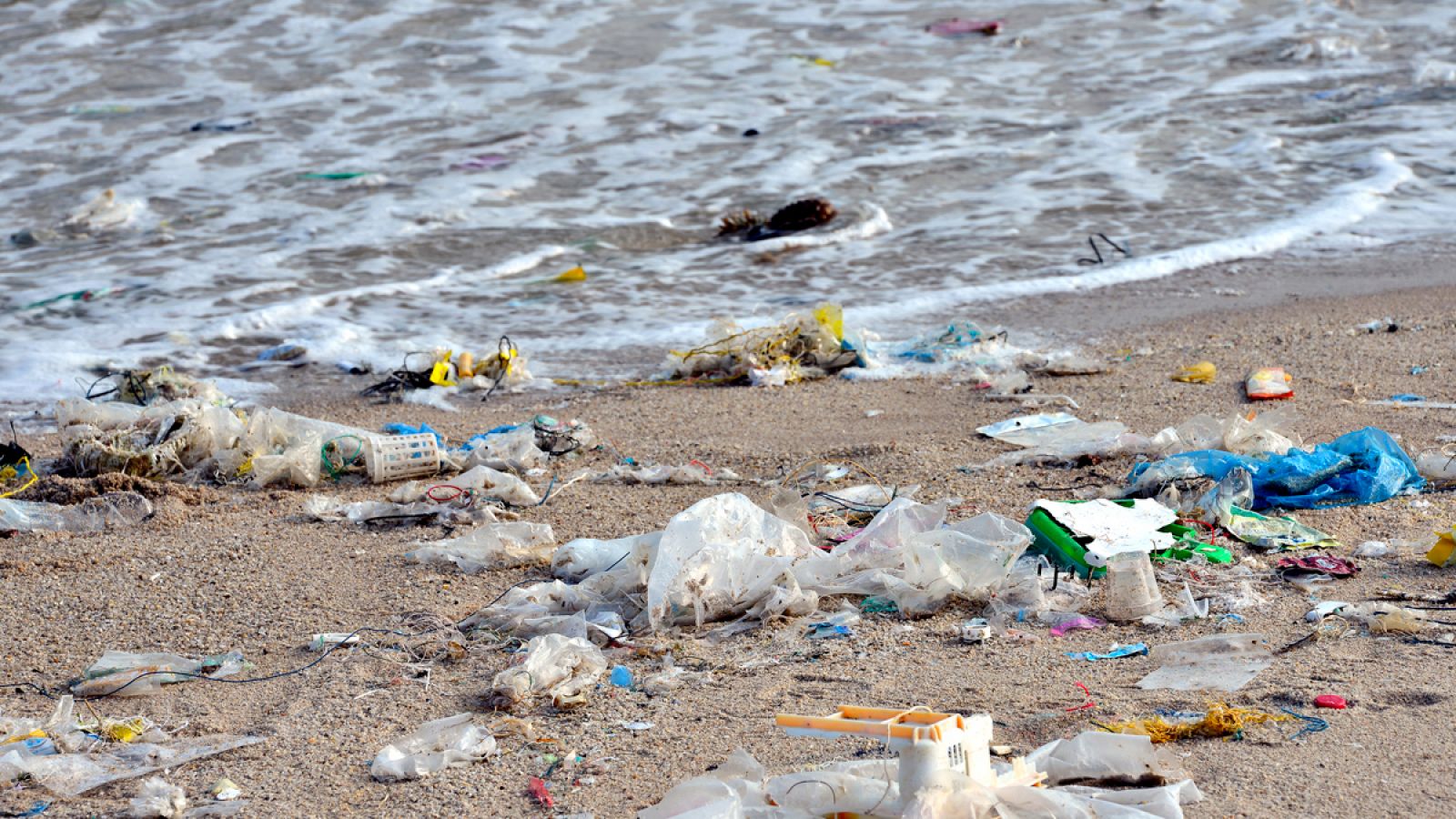 Entre 5,95 y 15,11 millones de toneladas de plástico llegan cada año a los océanos.
