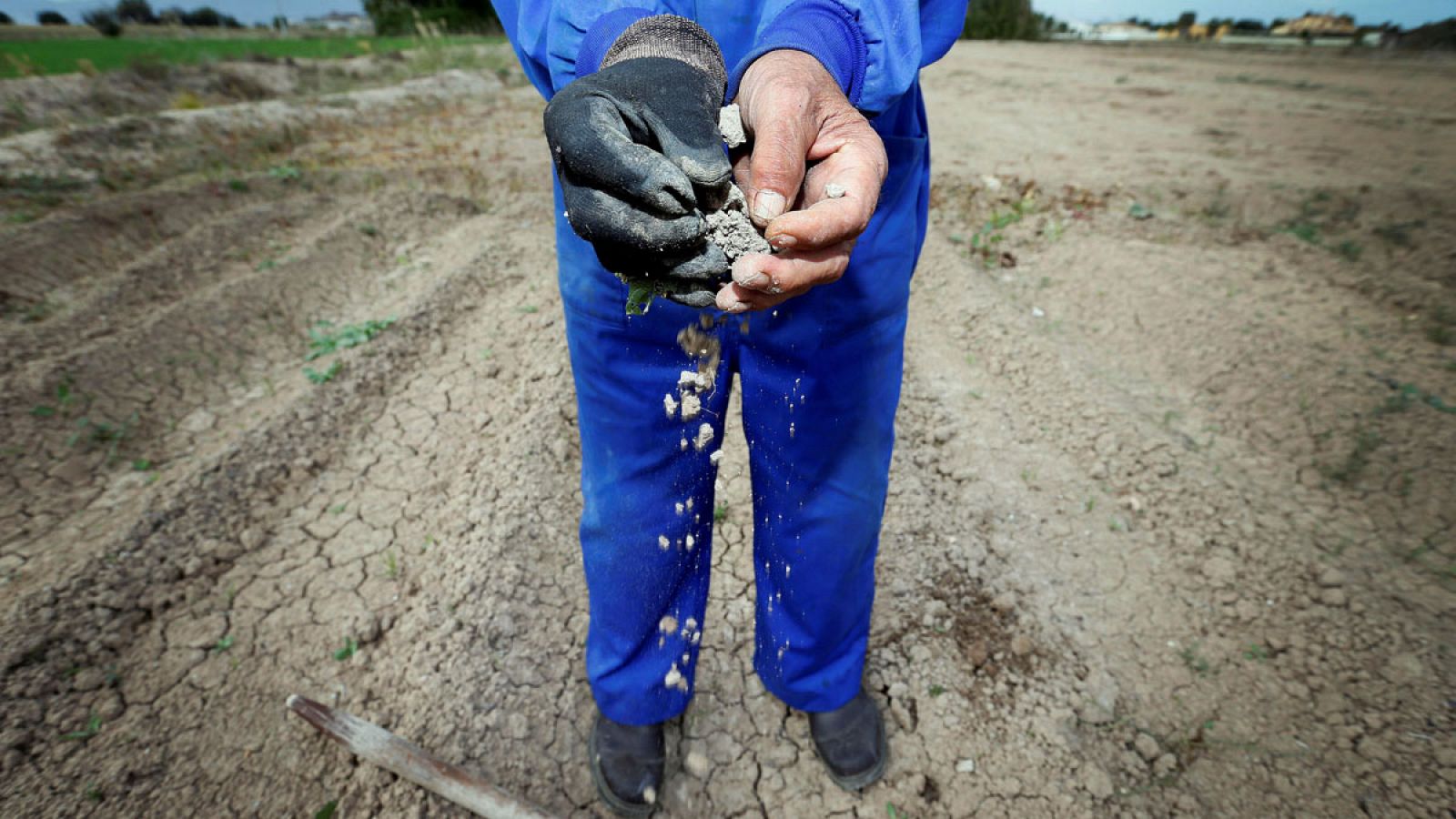 Un agricultor muestra la sequedad del terreno desgranando un terrón de su campo cercano a un pantano de Alicante