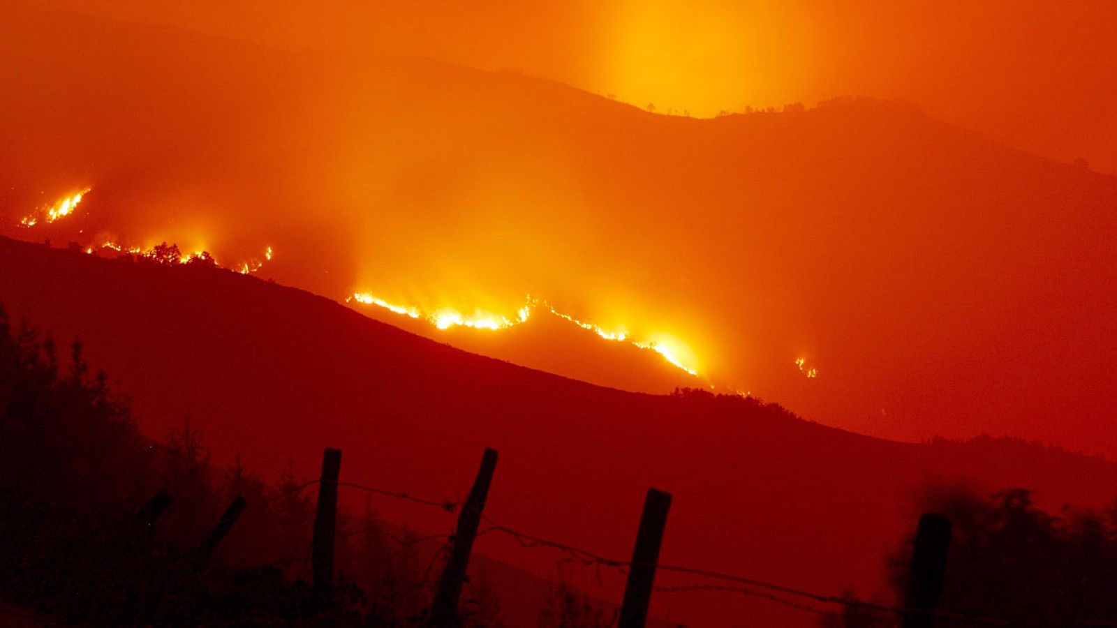 El incendio del sur de Tenerife ha quemado 220 hectáreas y se apunta a origen humano