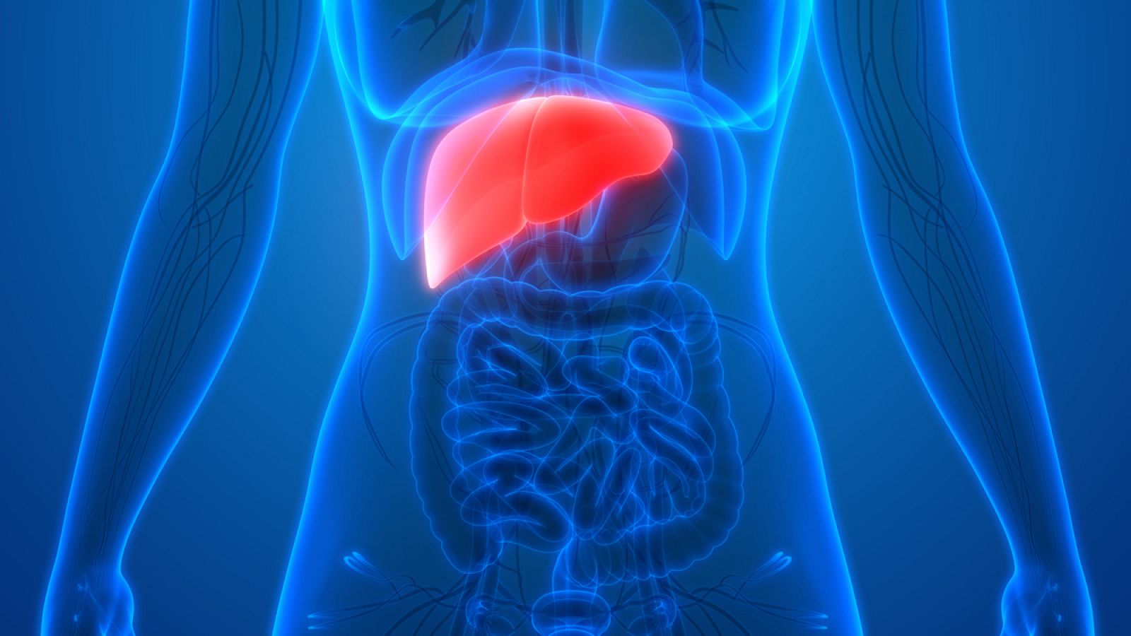 El cáncer de hígado es el más letal después de los del aparato respiratorio.