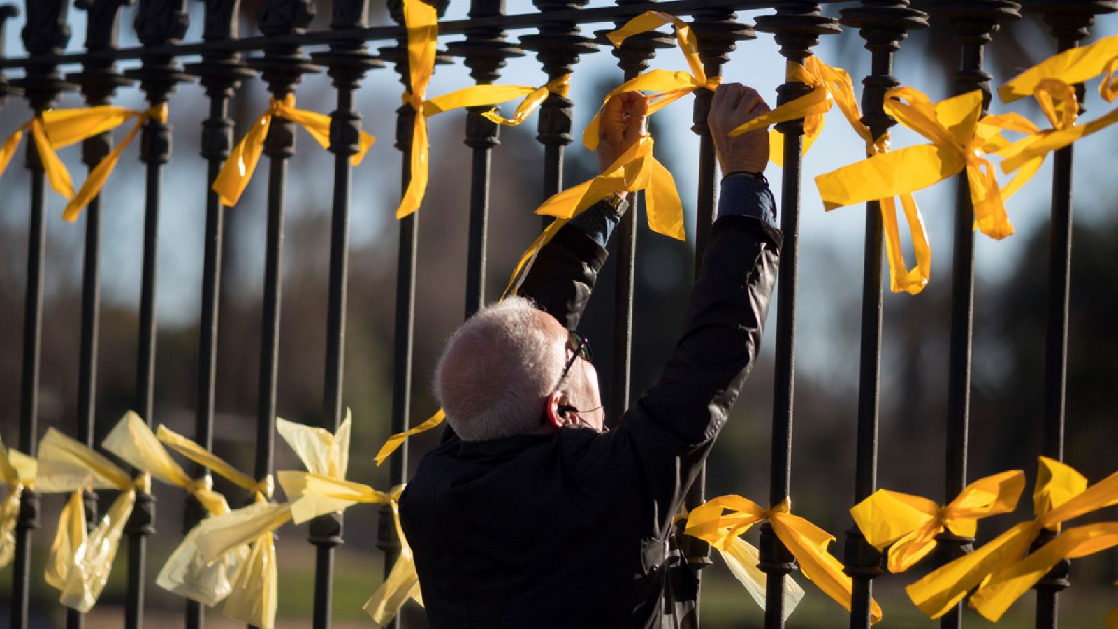 Un hombre coloca lazos amarillos en la verja del Pac de la Ciutadella.
