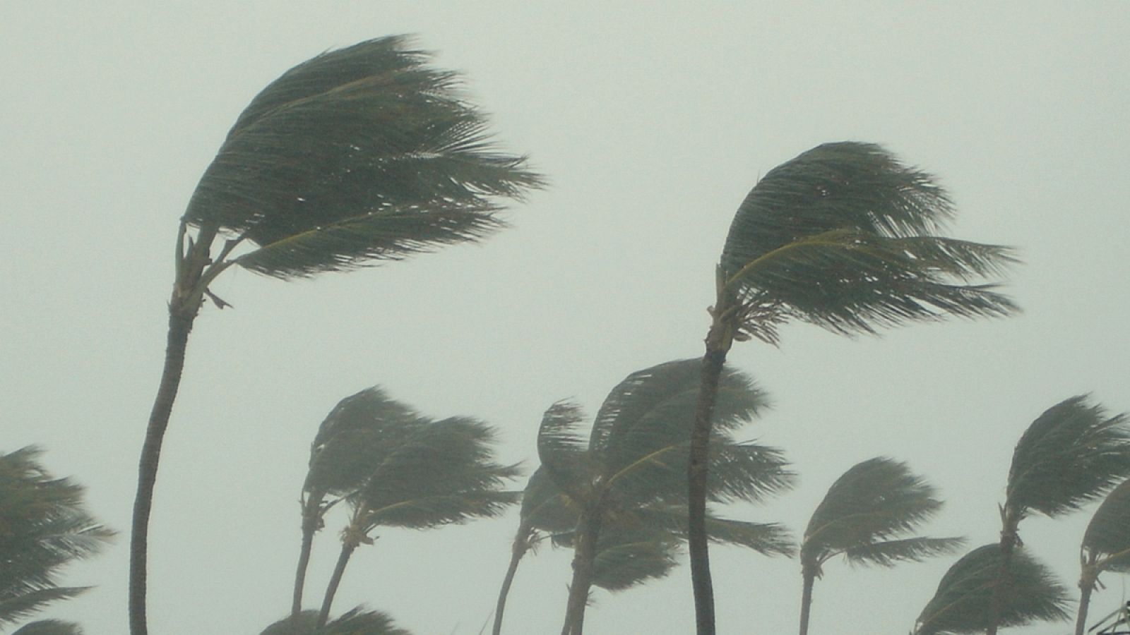 En 2017, se produjo una alineación de poderosas tormentas: Harvey, Irma, José y María.