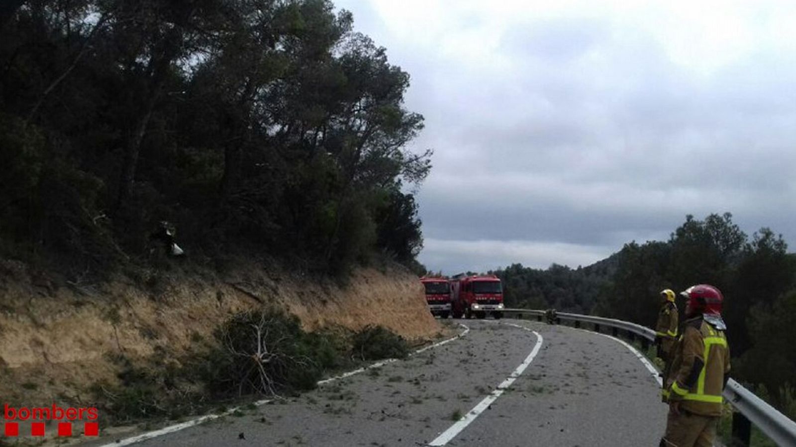 Imagen de la carretera en Flix donde se ha estrellado la avioneta en el municipio de Flix, en Tarragona