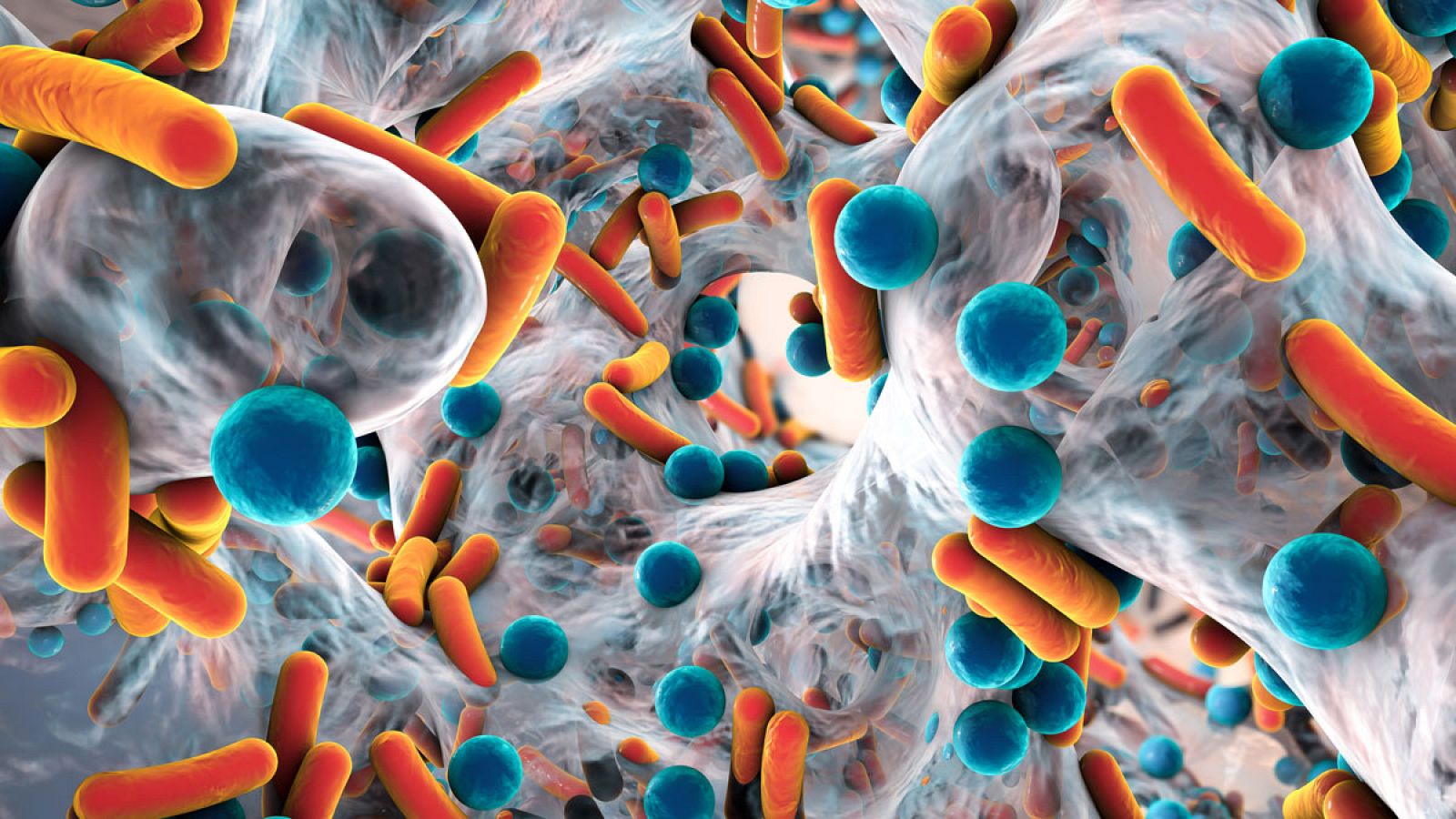 Representación de una bacteria resistente al consumo de antibióticos