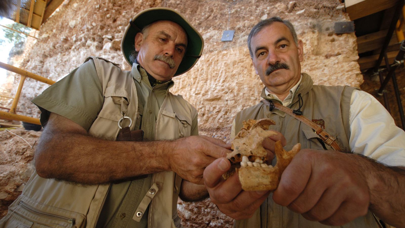 Foto de archivo de Eudald Carbonell (i) y José María Bermúdez de Castro con restos de Homo antecessor procedentes del nivel TD6 de Gran Dolina, en Atapuerca.