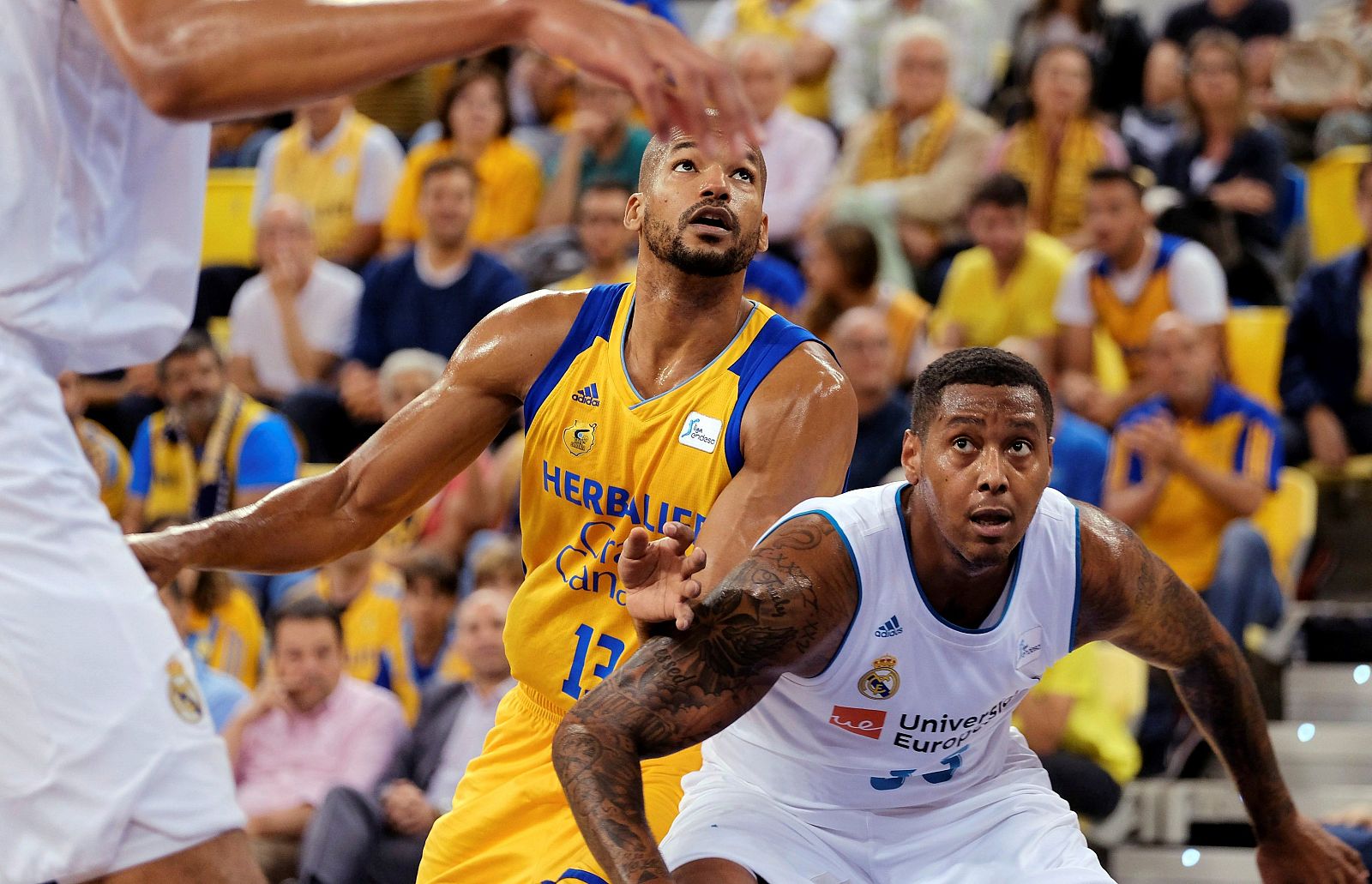 HERBALIFE GRAN CANARIA REAL MADRID