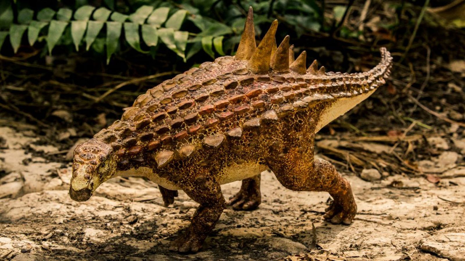El 'Acantholipan gonzalezi' era un dinosaurio armado, de tipo nodosaurio, con una coraza.
