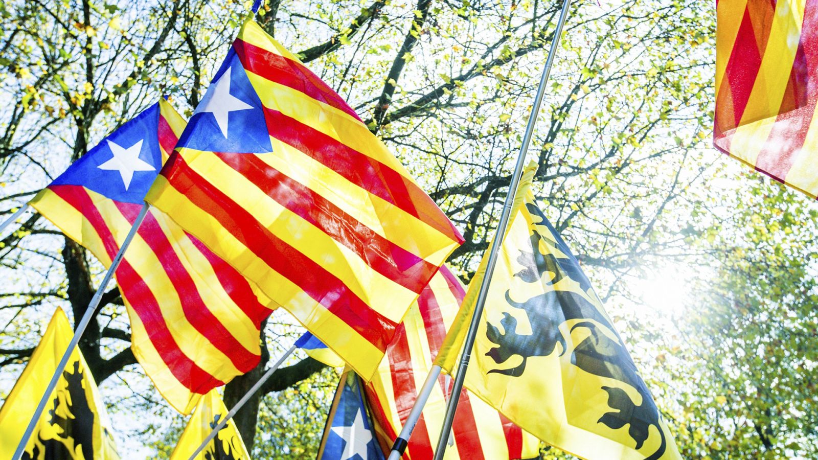Banderas esteladas y flamencan en una manifestación de independentistas catalanes en Bruselas