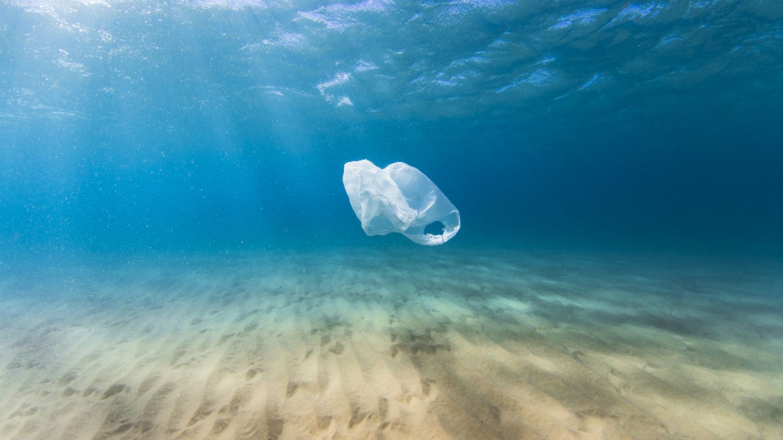 En el mar acaba gran parte del plástico que consumimos