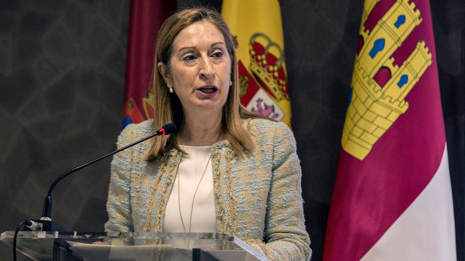 Ana Pastor, durante un acto en Ciudad Real en junio.