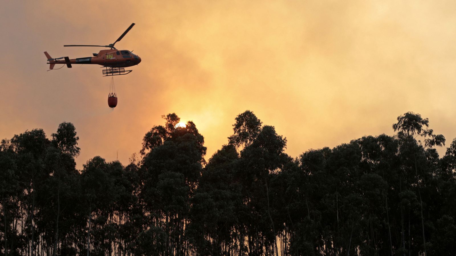 Más de 700 bomberos intentan sofocar un fuego en El Algarve que ha obligado a desalojar dos aldeas