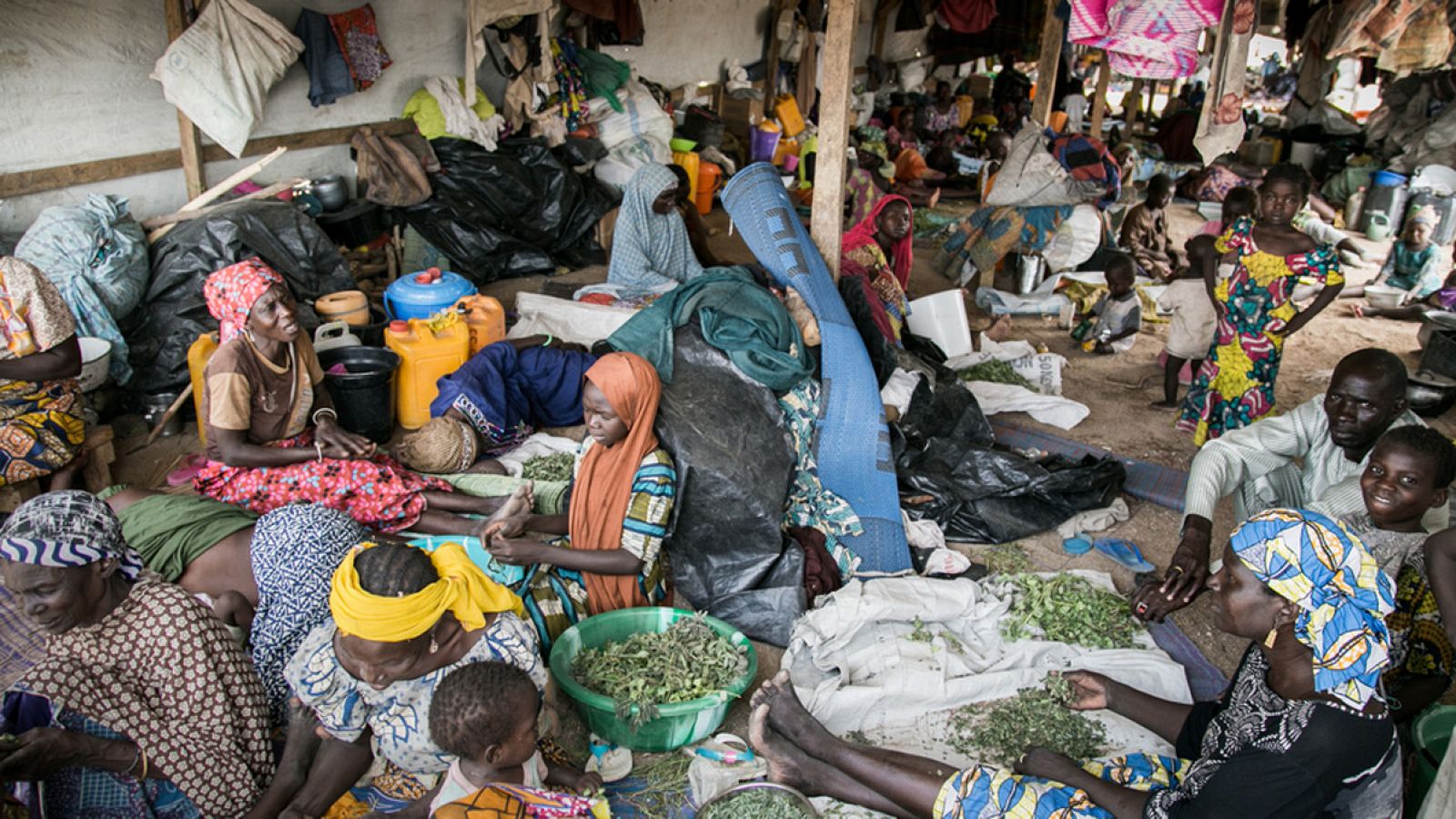 En Pulka, unas 46.000 desplazados internos viven en condiciones sanitarias muy precarias. IGOR BARBERO / MSF