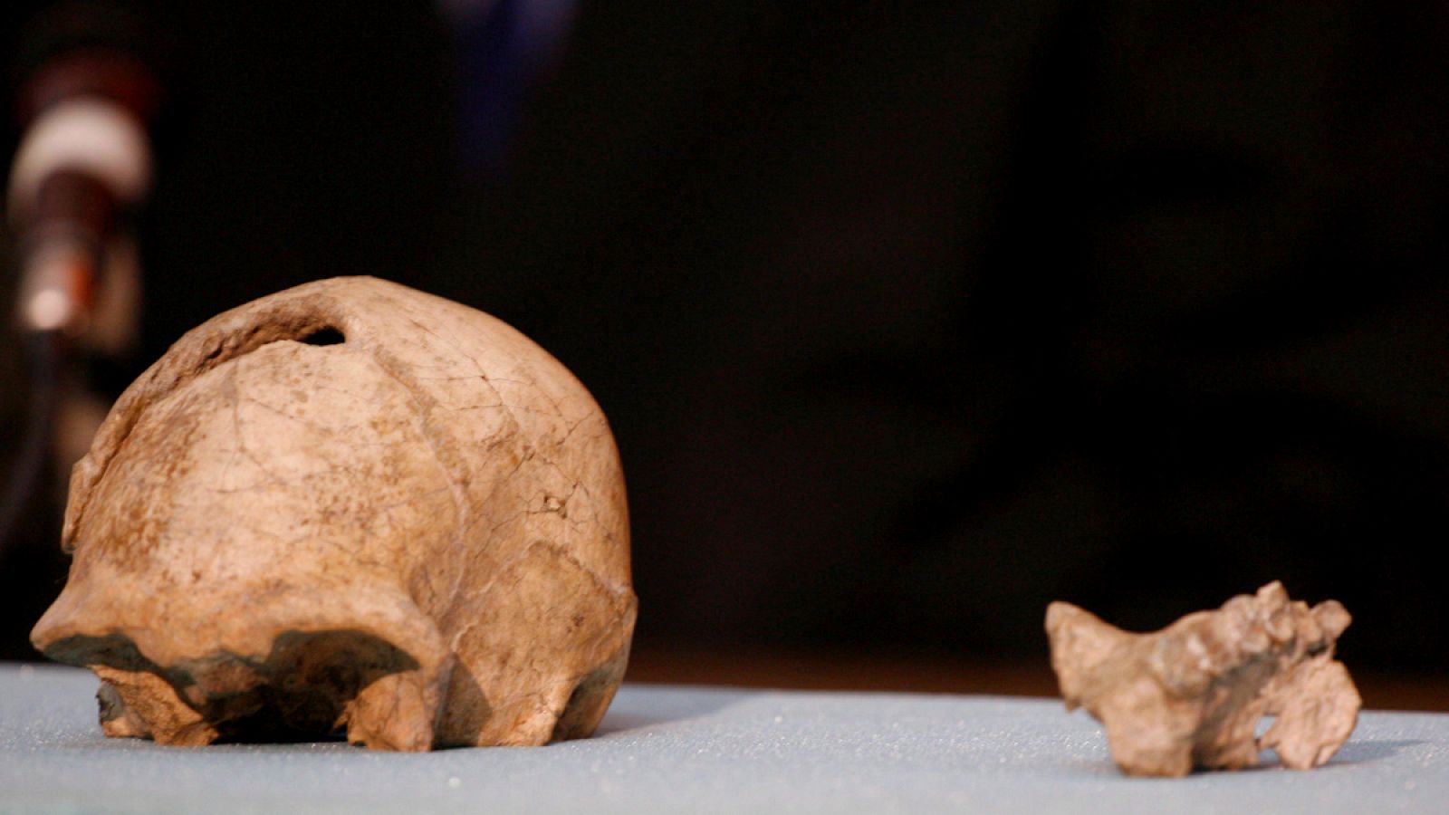 Craneo de 'Homo Erectus' (i) junto a un pedazo de mandíbula de un 'Homo Habilis' (d) encontrados en el 2000 cerca del Lago Turkana (Kenia).