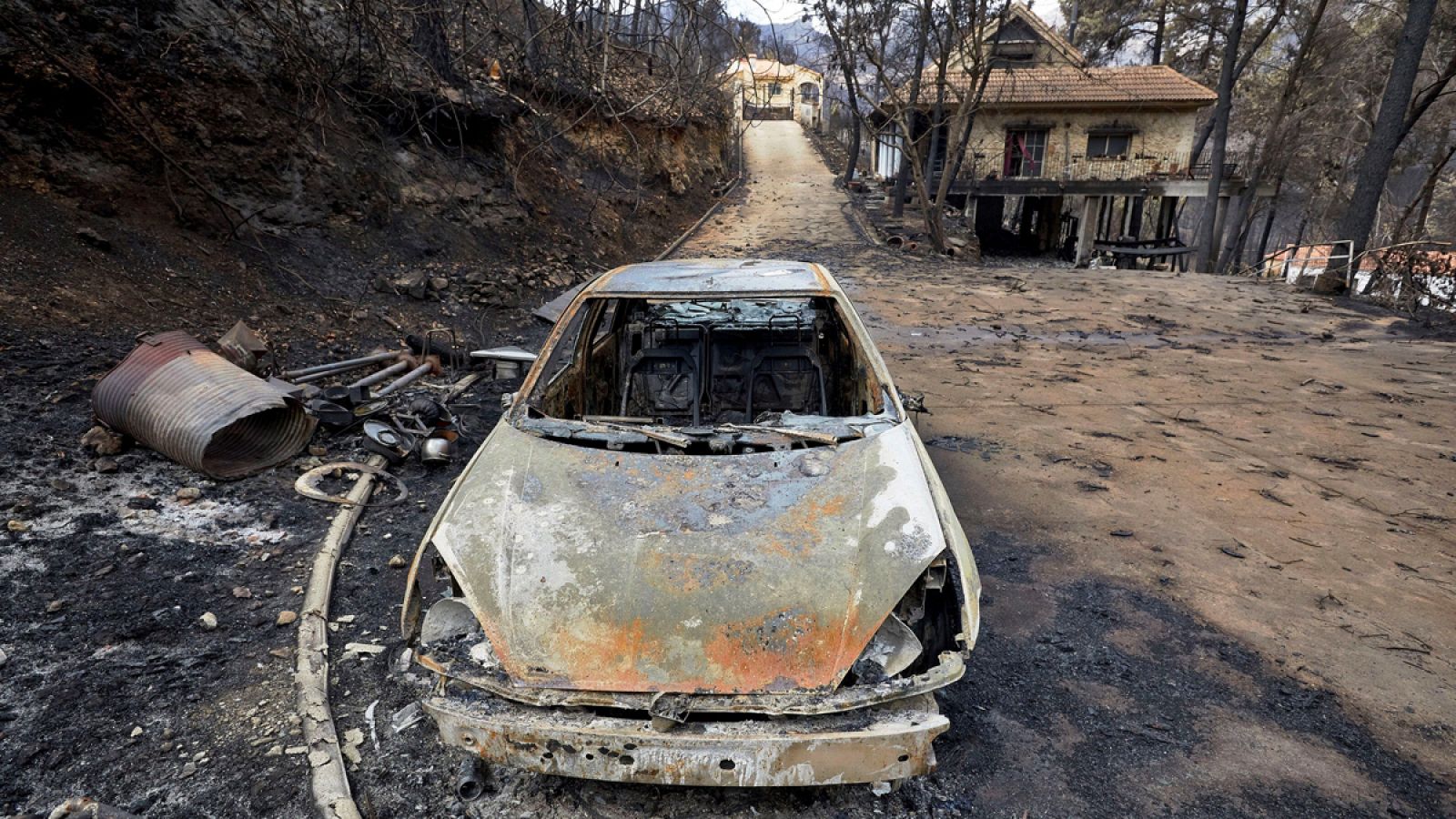 Vista de los daños causados por el incendio forestal de Llutxent