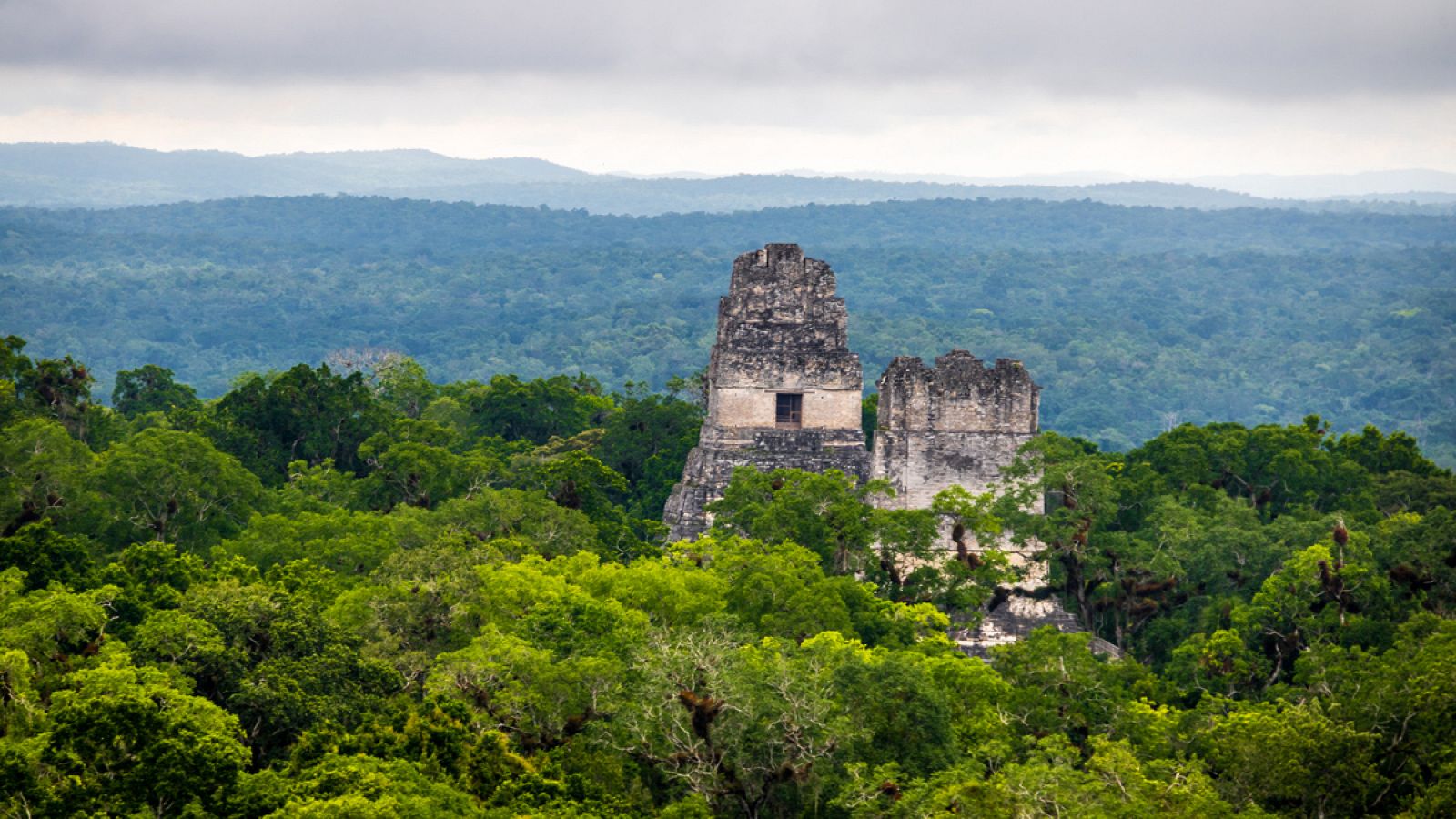 Se cree que la tala de bosques es uno de los factores que influyeron en la desaparición de la cultura maya.