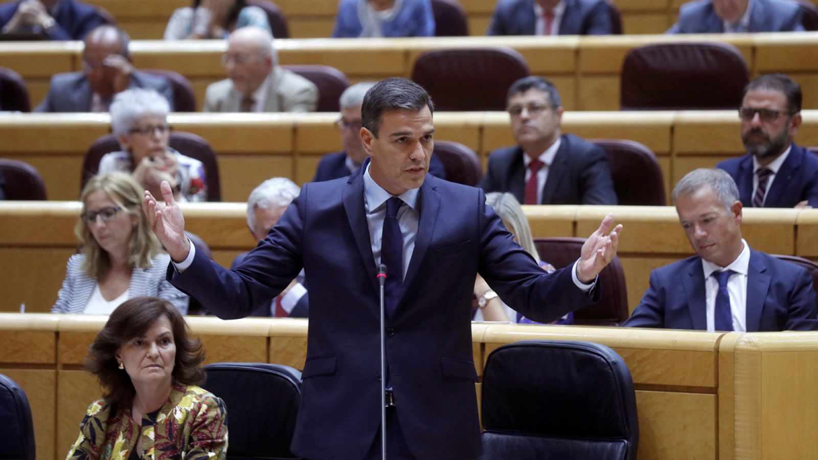 El presidente del Gobierno, Pedro Sánchez, interviene durante la sesión de control del Gobierno en el Senado