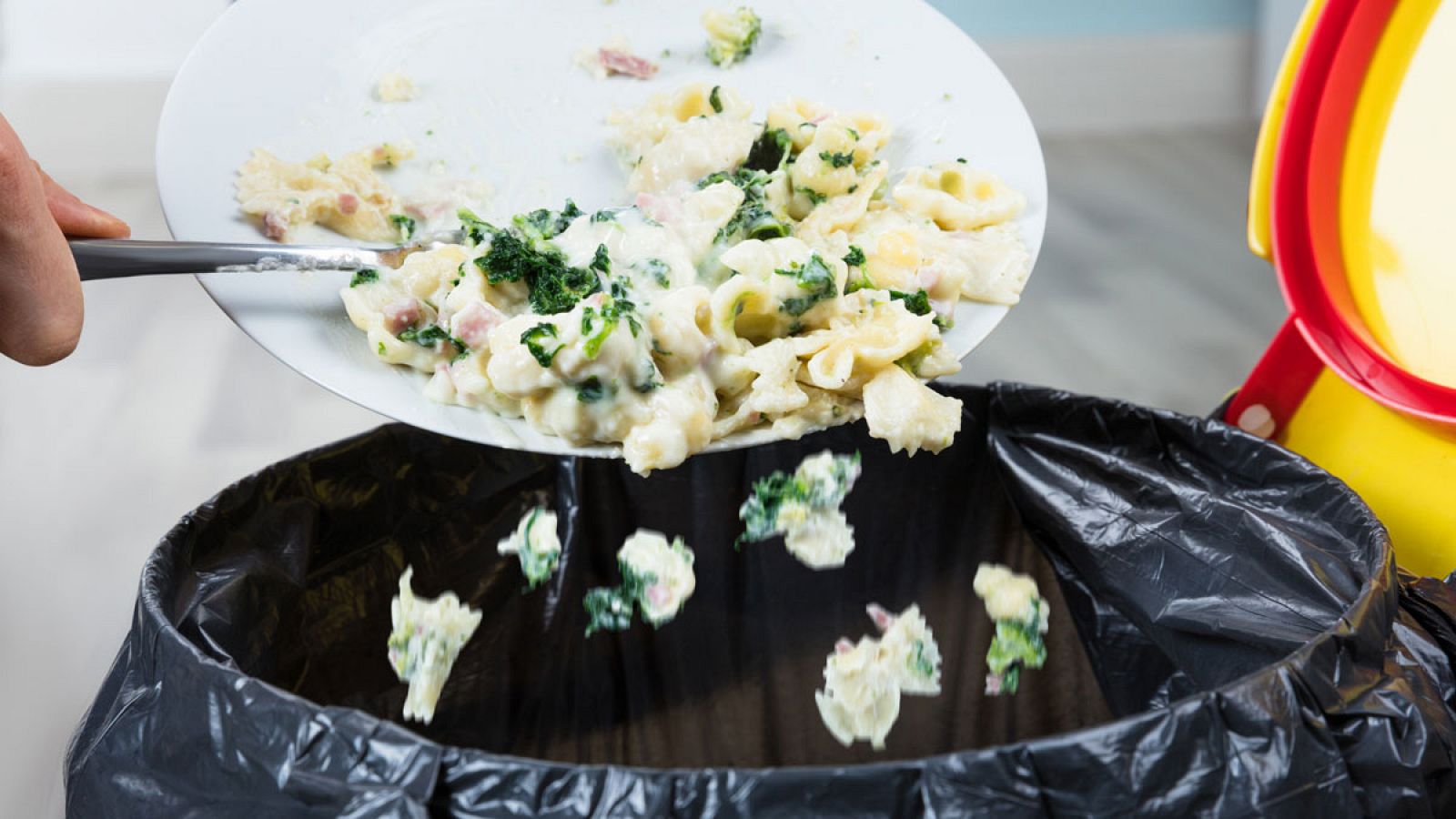 Tiran comida del plato a la basura