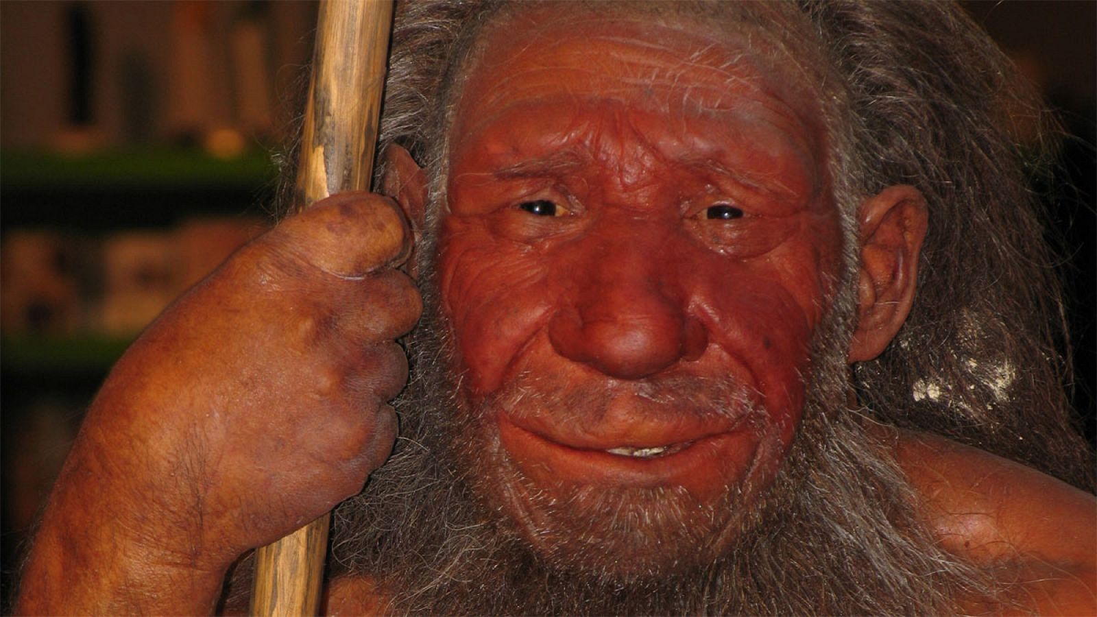 Investigaciónes arqueológicas ya habían demostrado que los neandertales practicaban la compasión y el cuidado de heridos y moribundos.