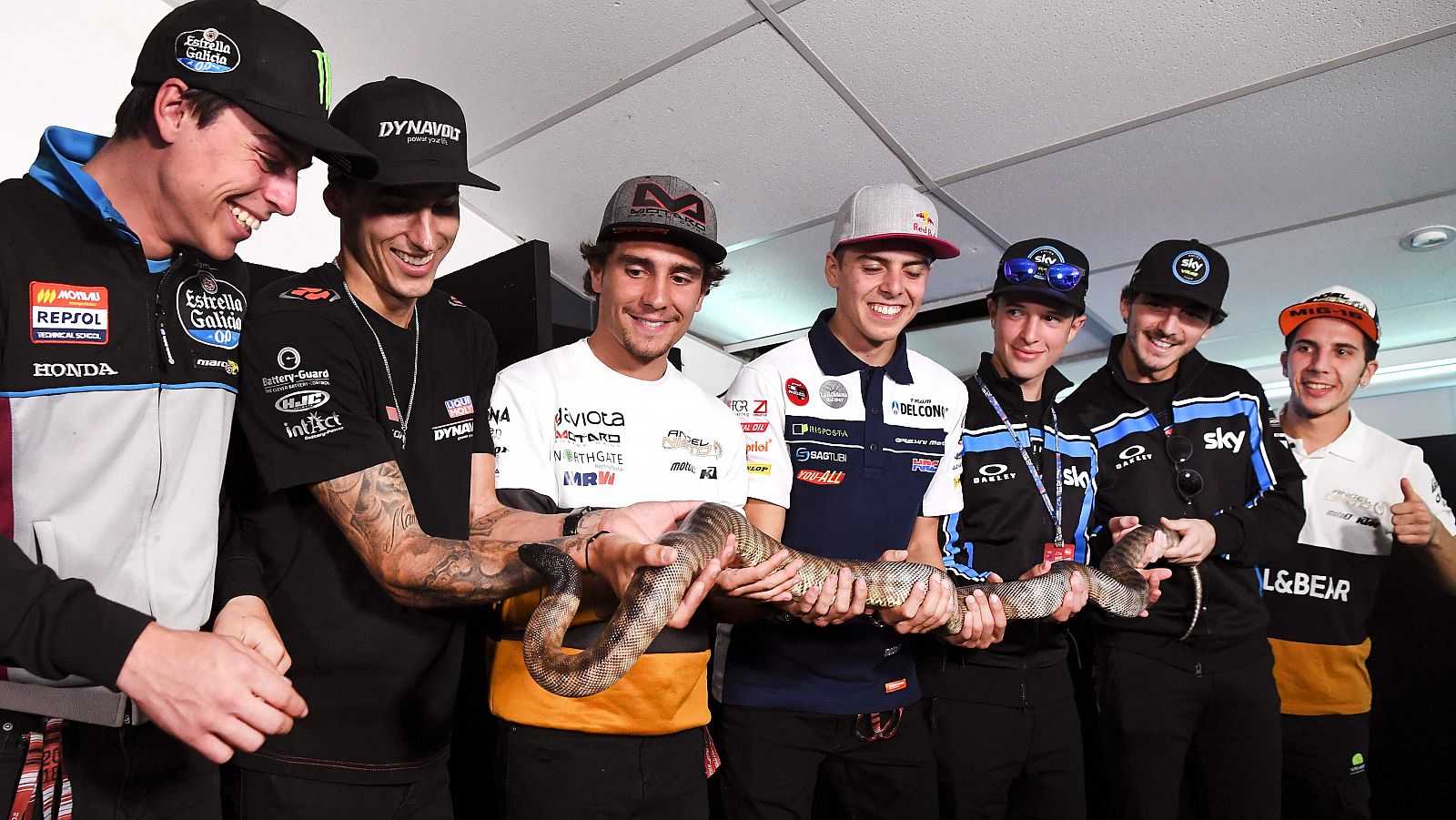 Los pilotos de Moto2 y Moto3, con una serpiente en un acto promocional en Australia.