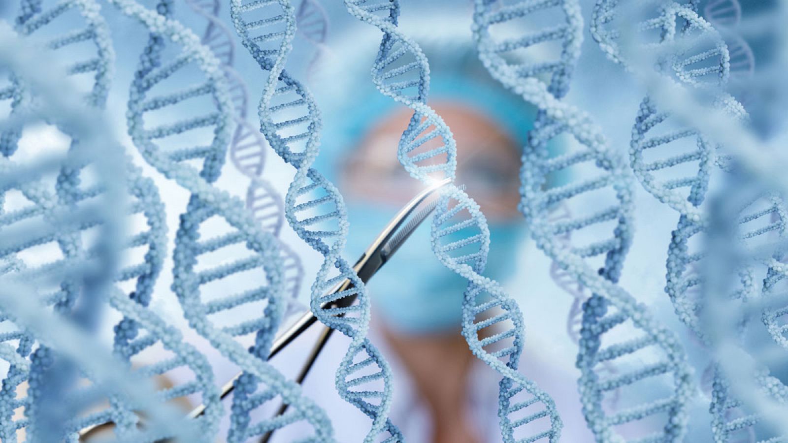 El descubrimiento de las tijeras moleculares CRISPR ha supuesto una revolución en la biología celular y generado muchas expectativas respecto a sus posibles aplicaciones médicas.