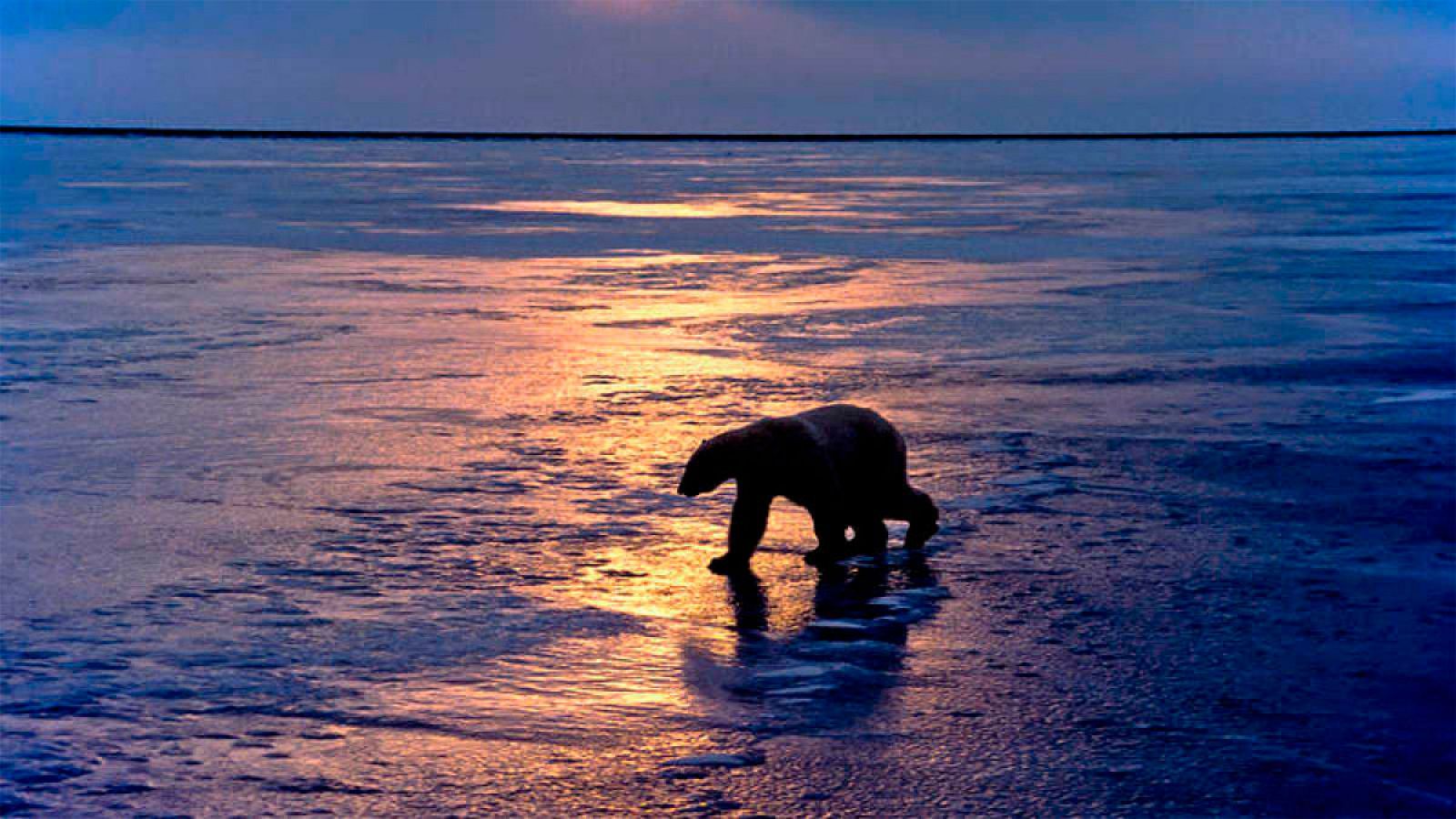 Groenlandia alberga el segundo depósito de agua dulce más grande de la Tierra, después de la Antártida.