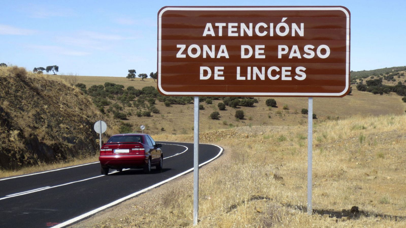 Fotografía de archivo que muestra un cartel en la carretera CRP 5042, en Ciudad Real, que advierte del paso de linces ibéricos en esta vía de comunicación.
