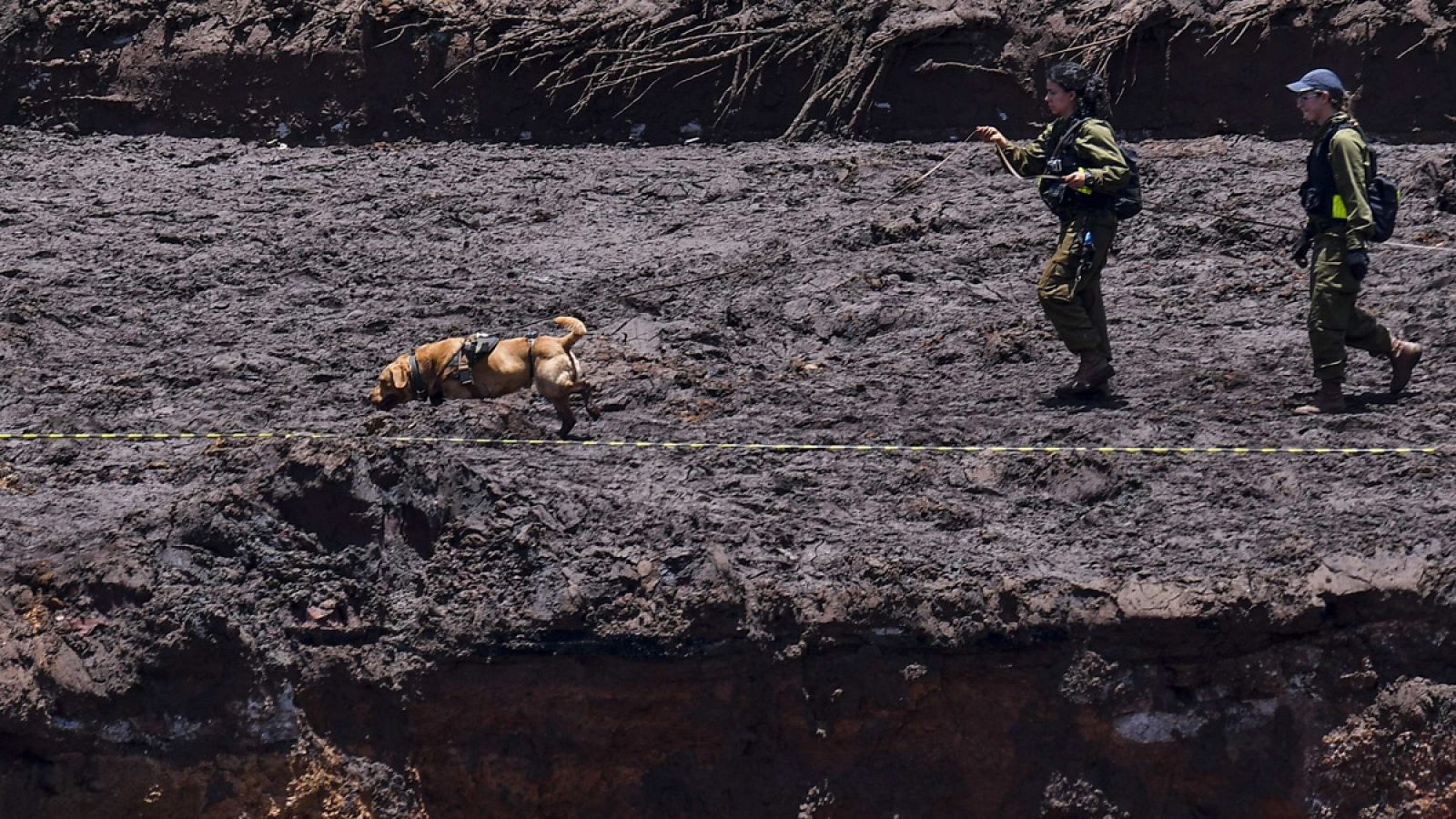 Dos personas, con ayuda de un perro, realizan labores de búsqueda de víctimas en Brumandinho (Brasil)