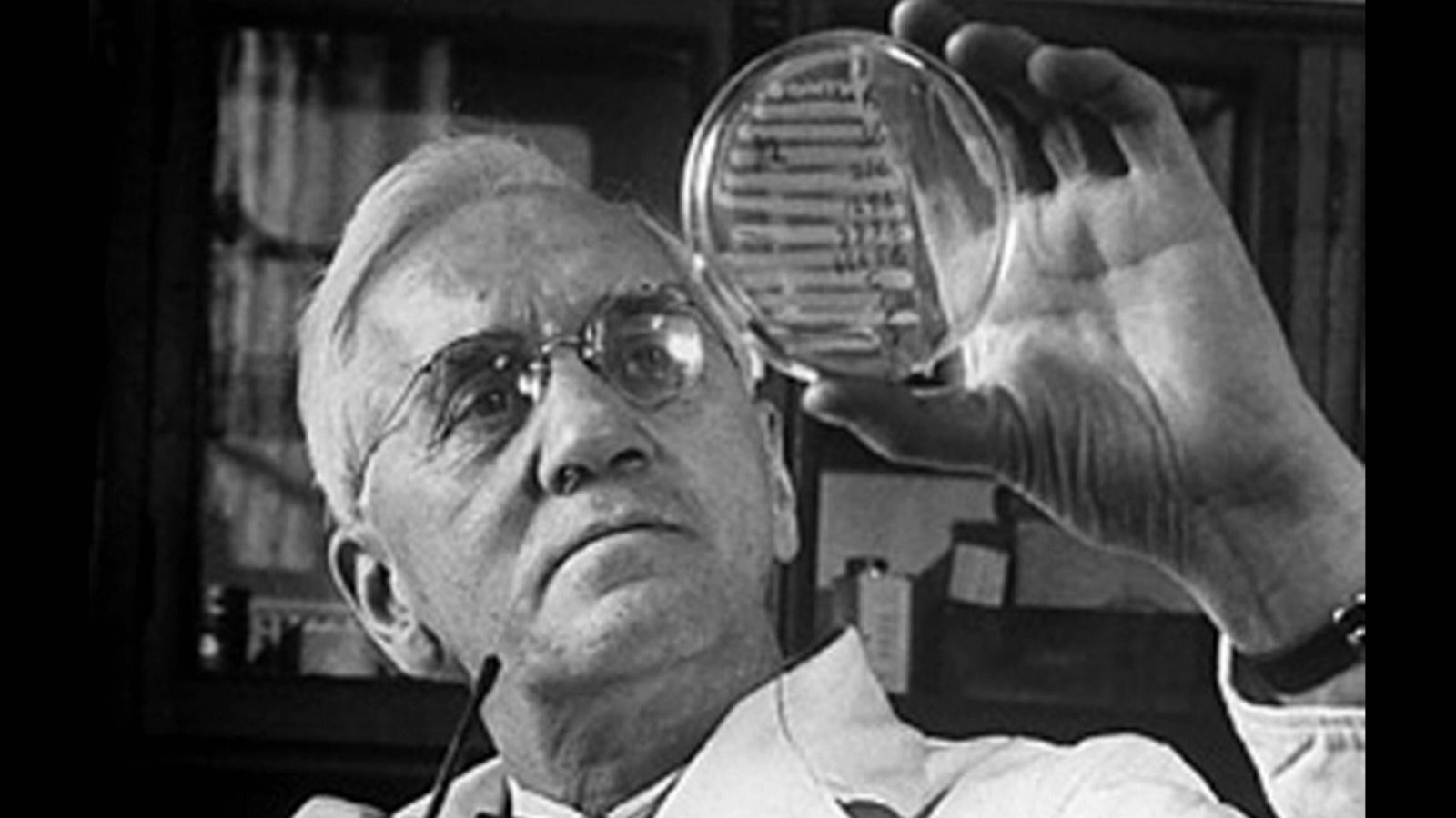Dr. Fleming, inventor de la penicilina