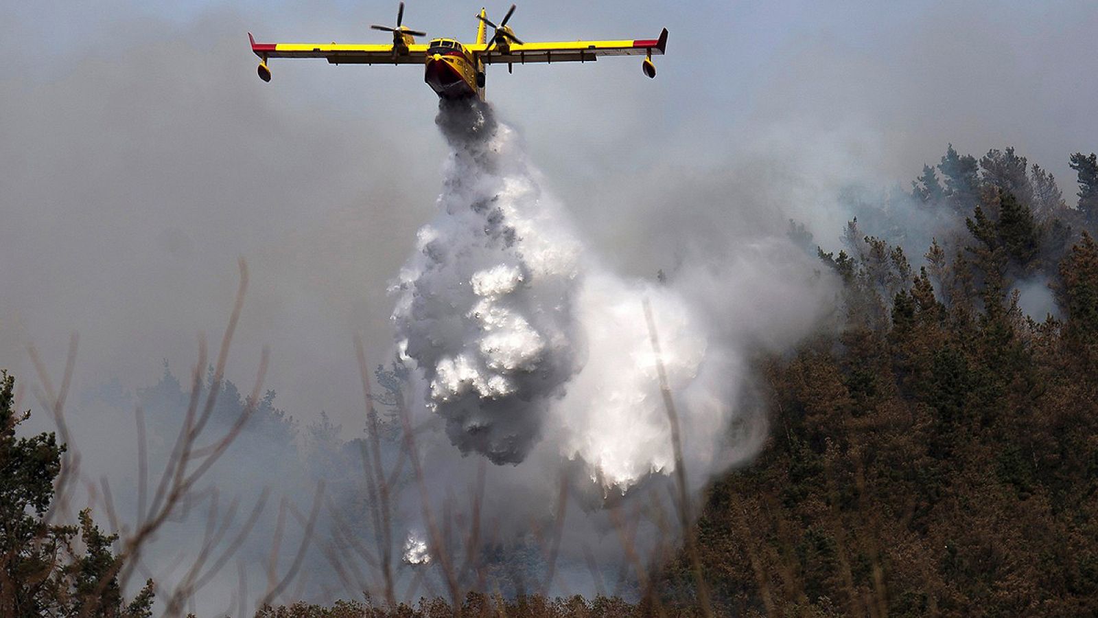 Detenido un jefe de voluntarios de Protección Civil por quemar el monte en Cantabria